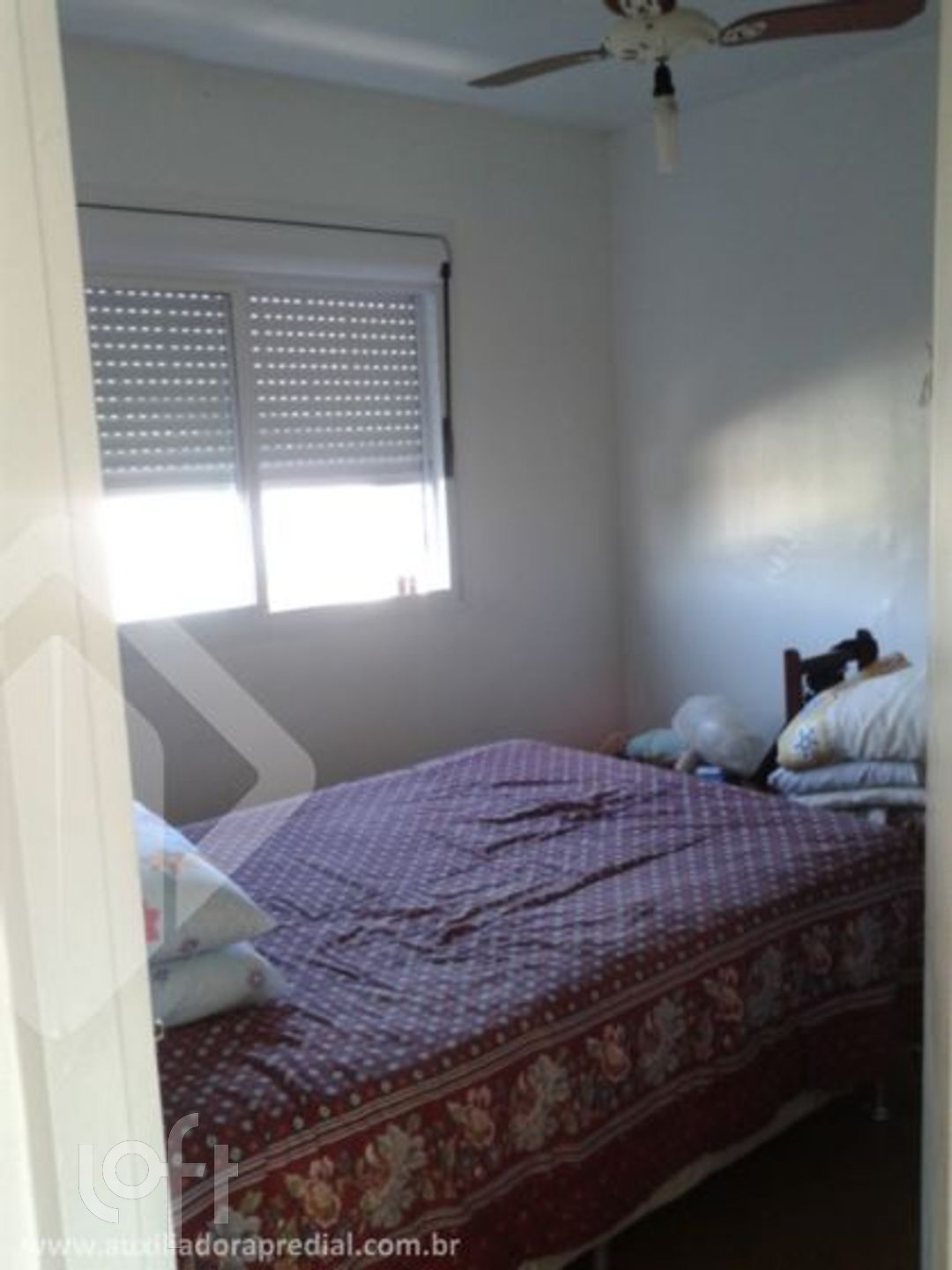 Imagem da propriedade 6