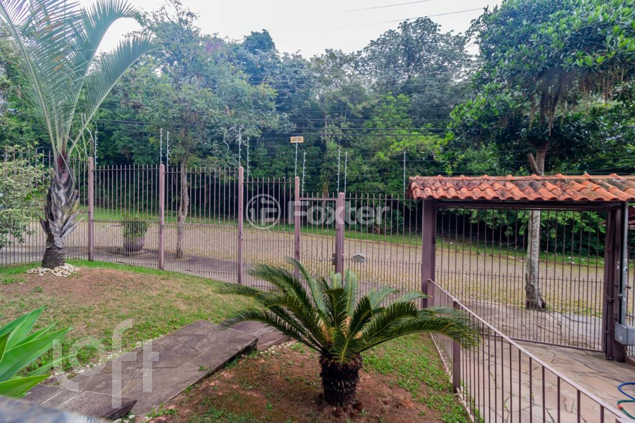 Imagem da propriedade 17