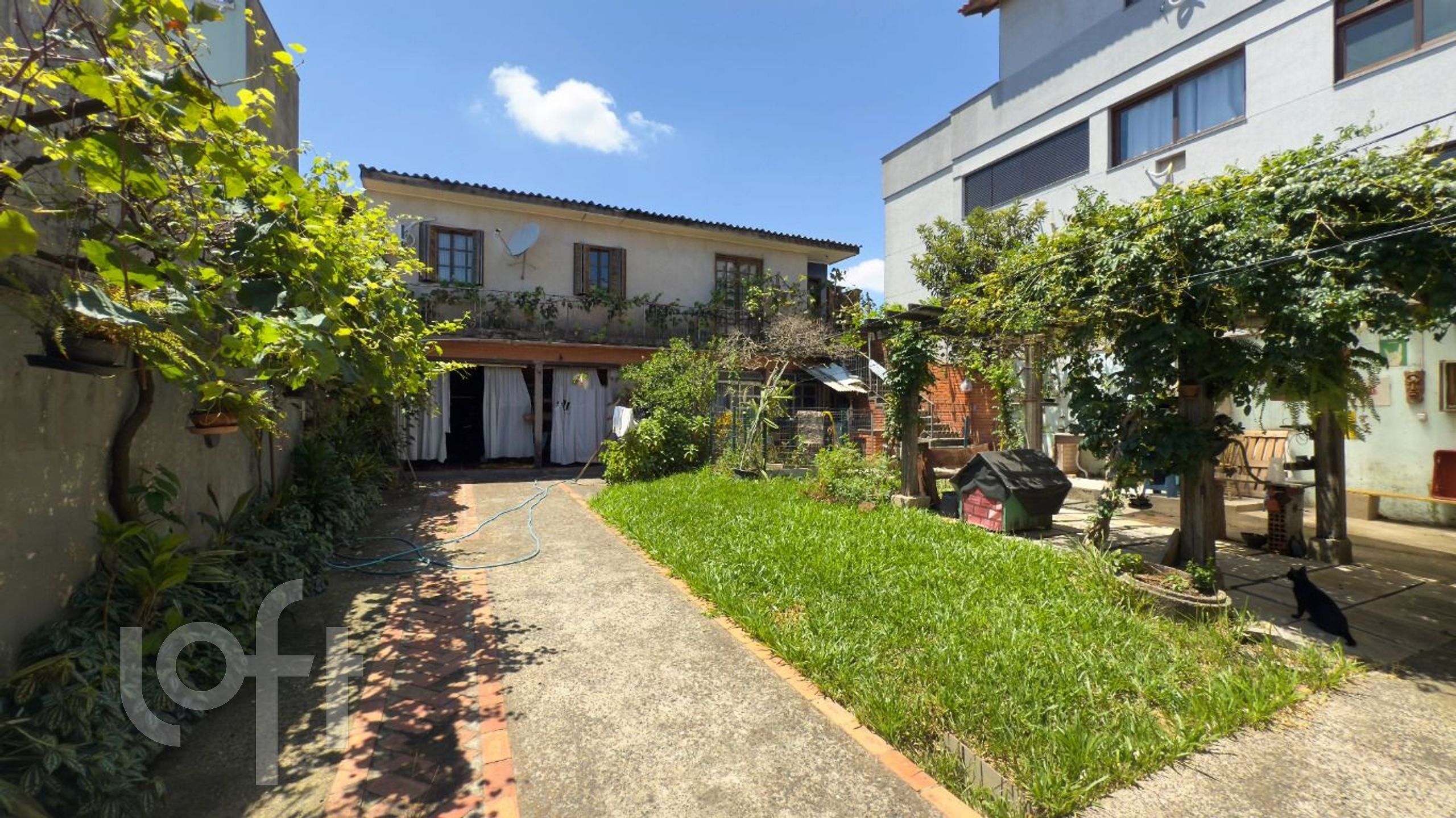 Imagem da propriedade 19