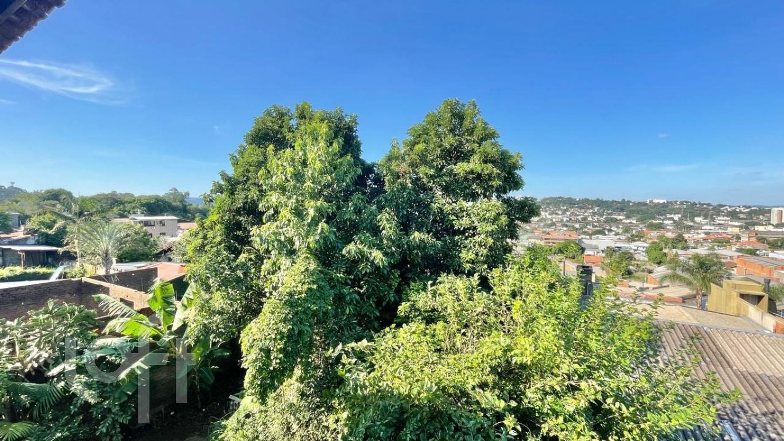 Imagem da propriedade 26