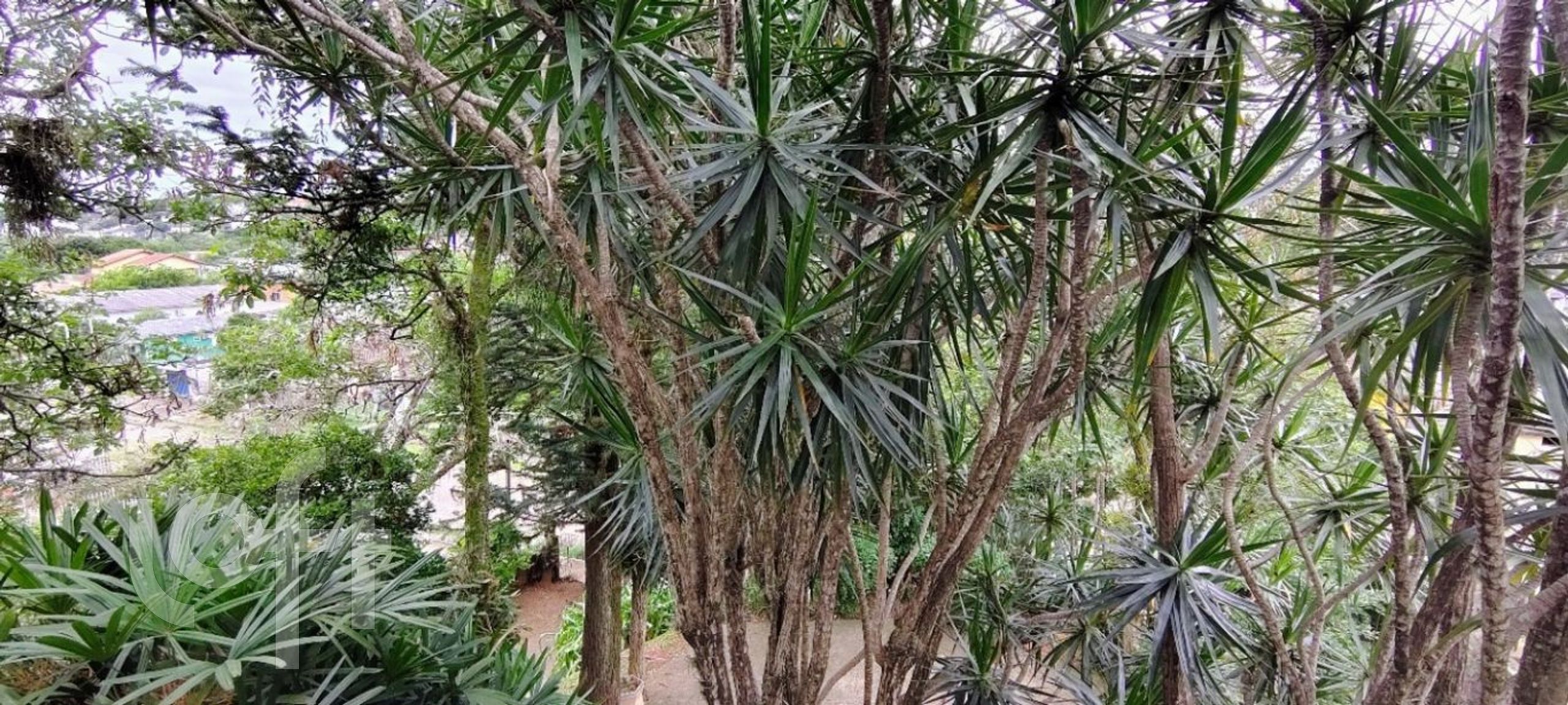 Imagem da propriedade 8