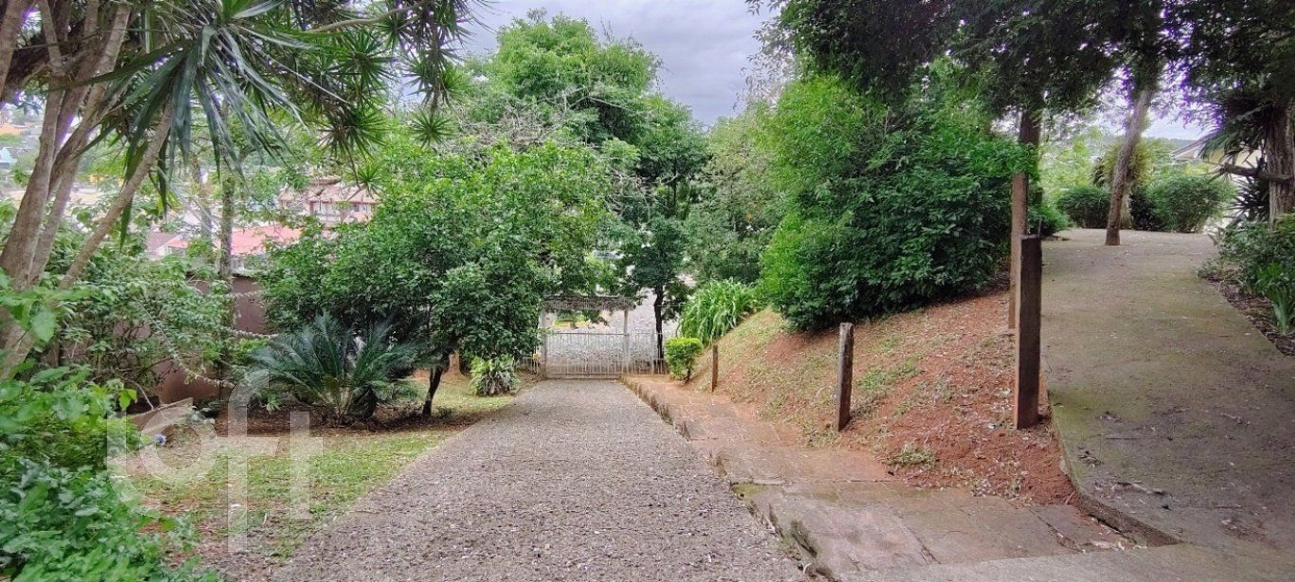 Imagem da propriedade 5