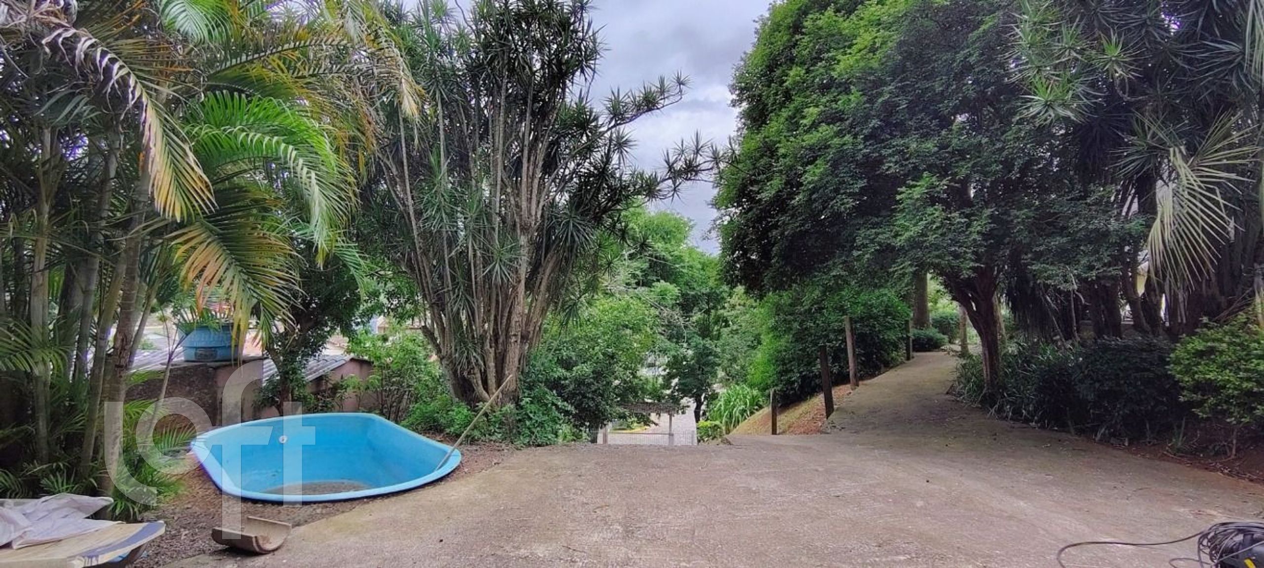 Imagem da propriedade 6