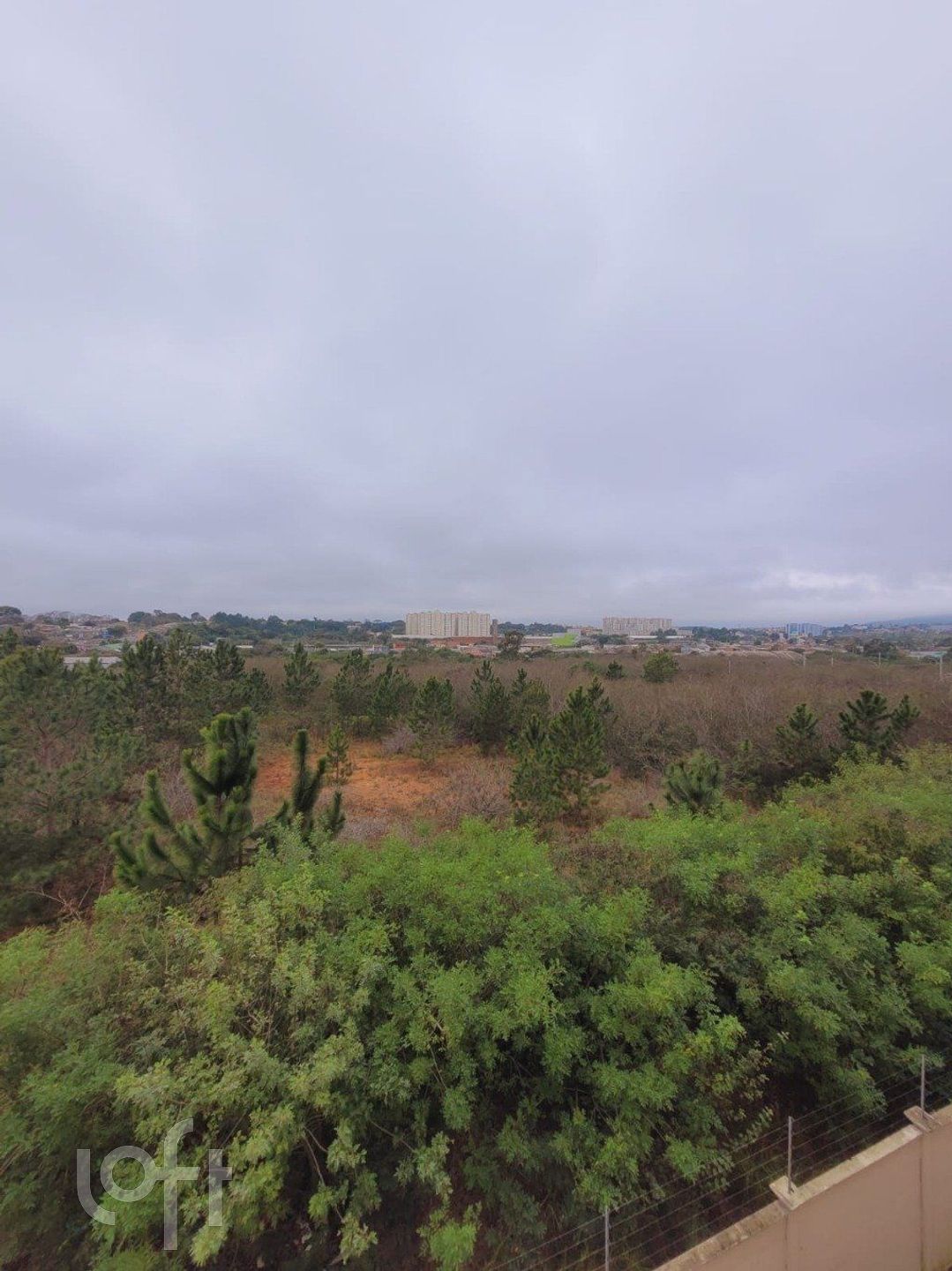 Imagem da propriedade 12