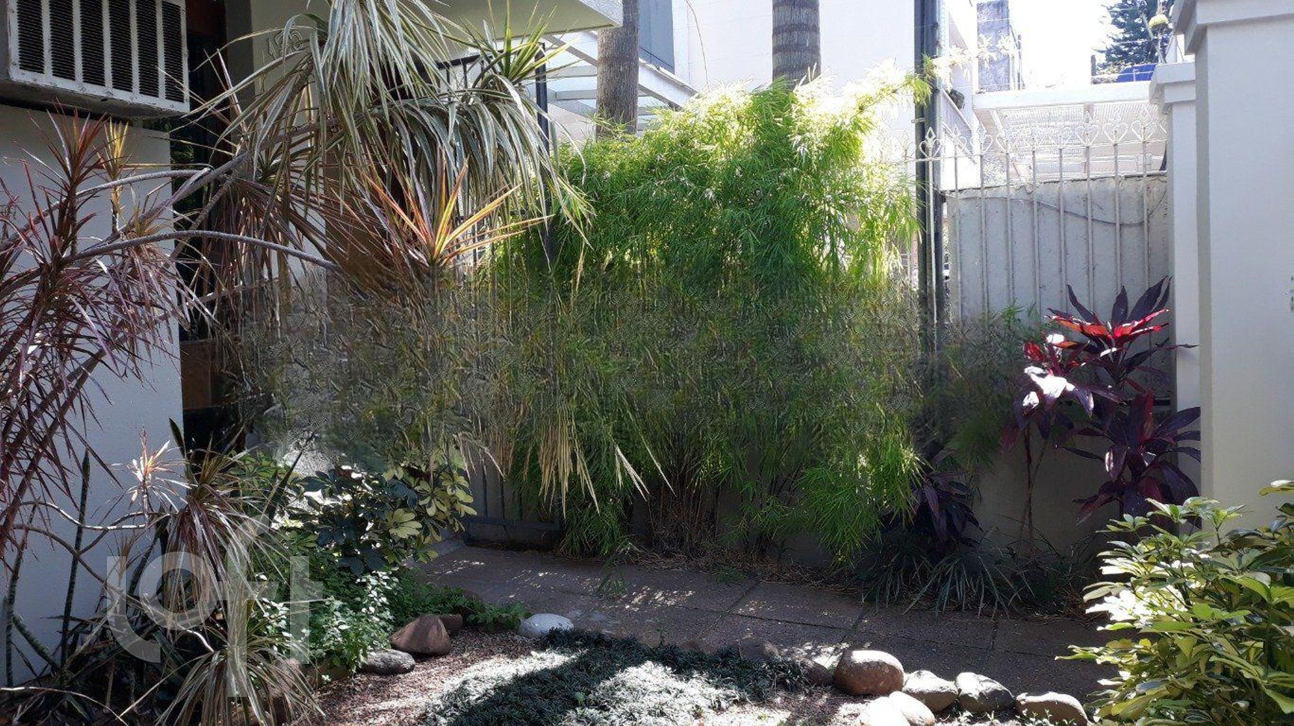 Imagem da propriedade 20