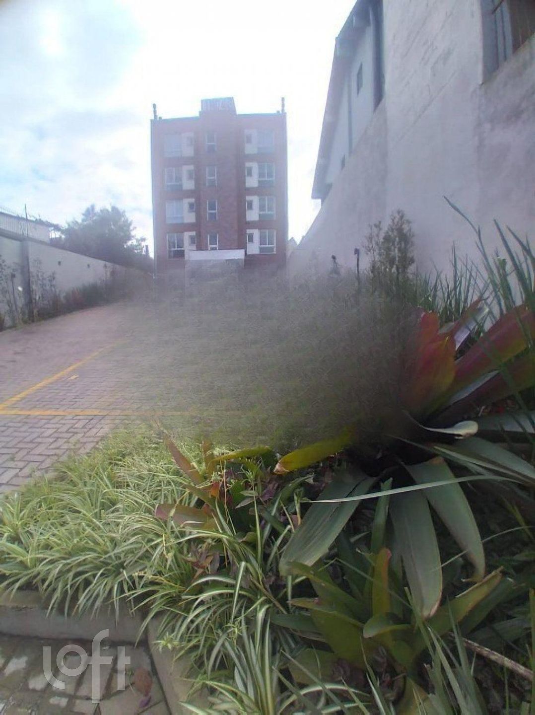 Imagem da propriedade 15