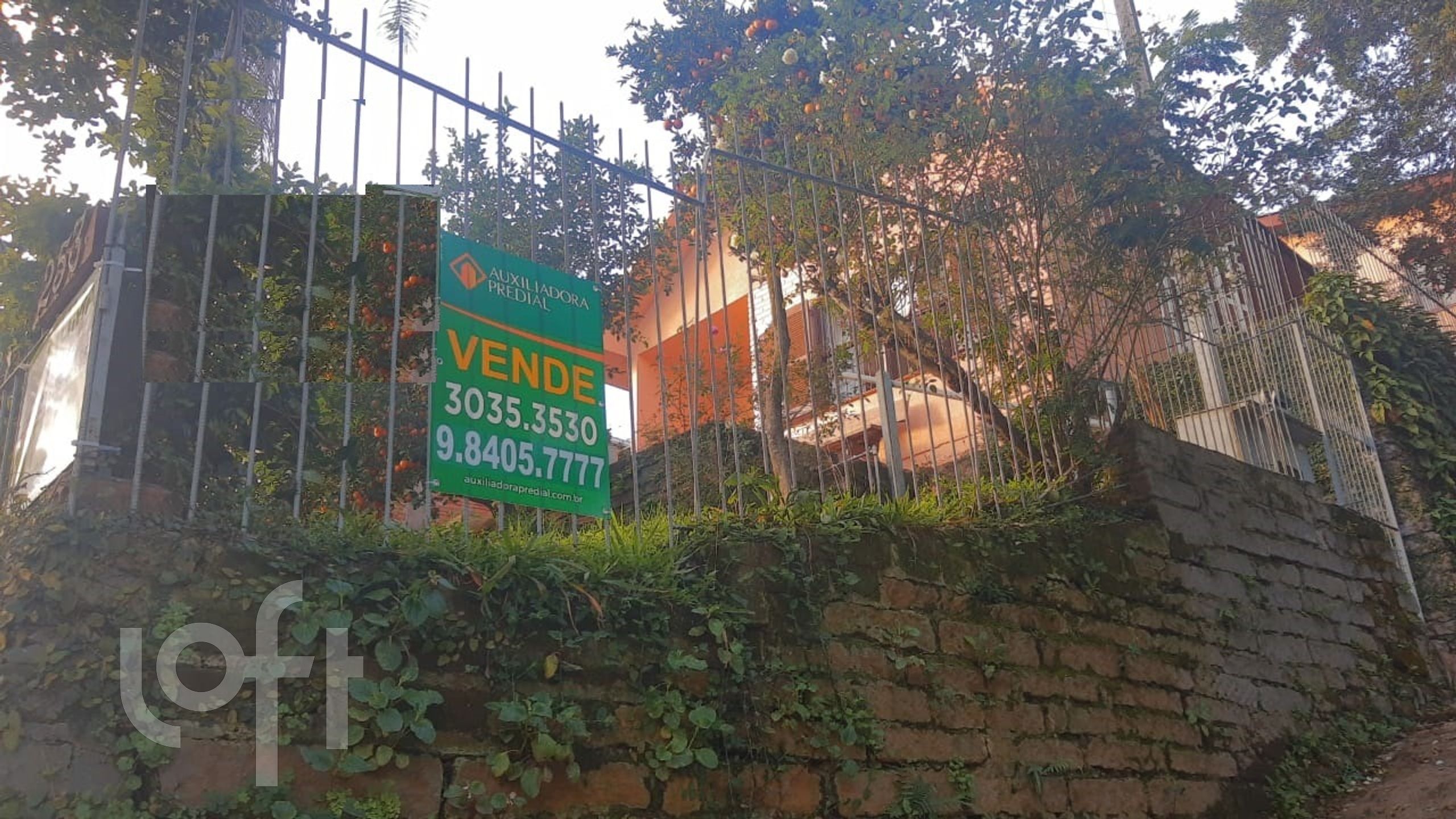 Imagem da propriedade 35