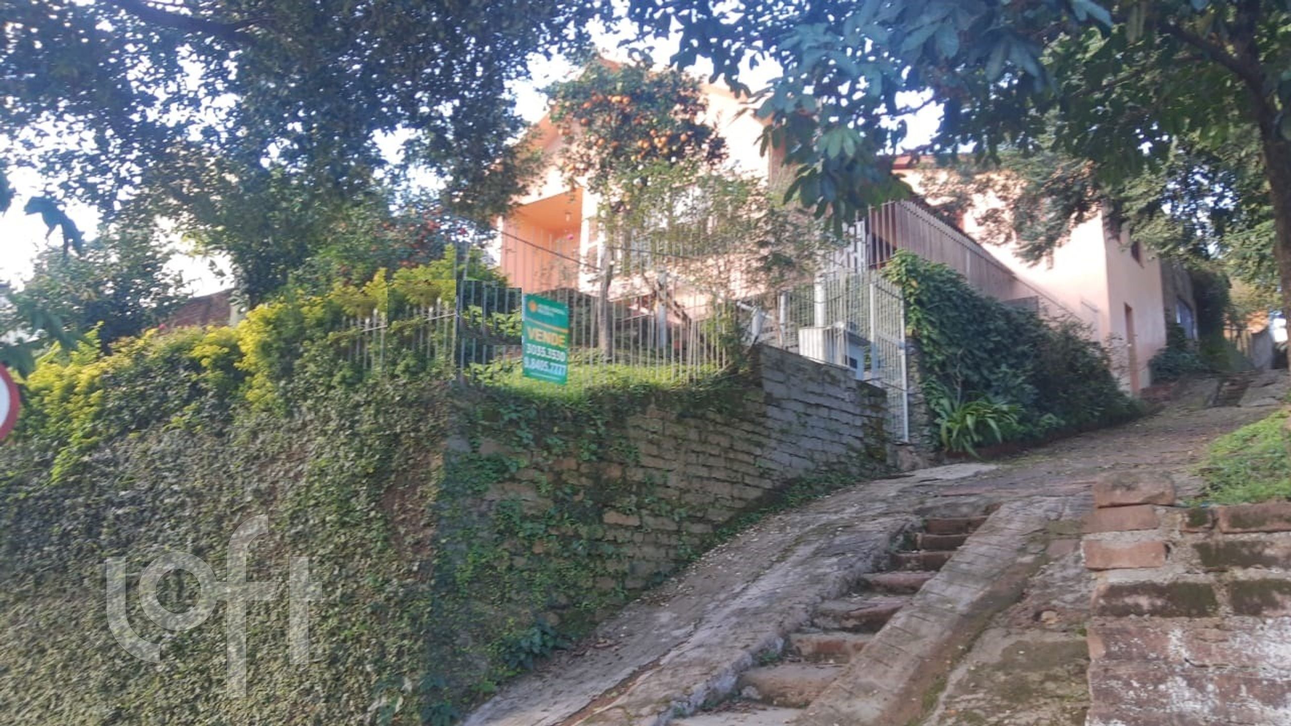 Imagem da propriedade 14