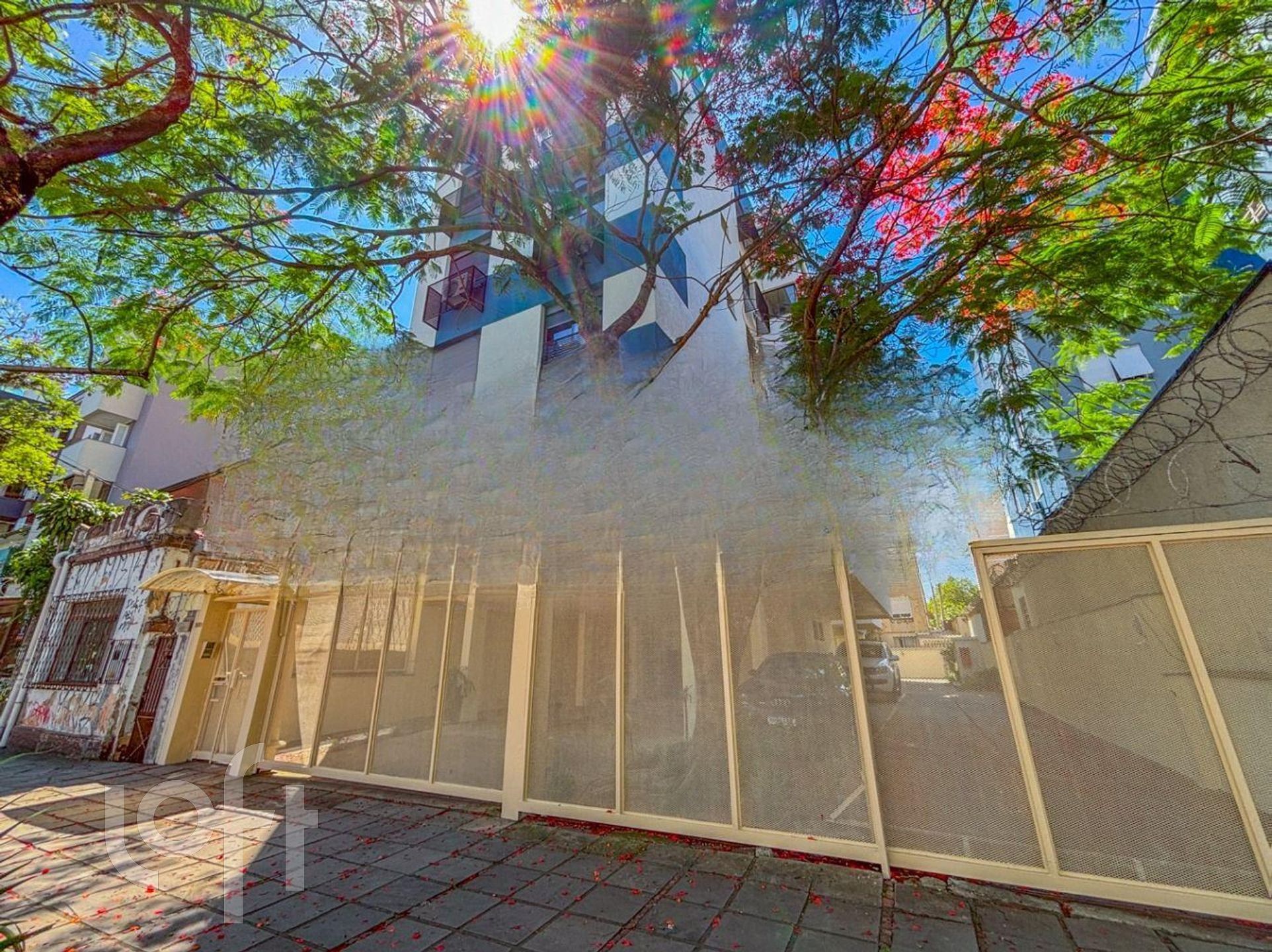 Imagem da propriedade 31