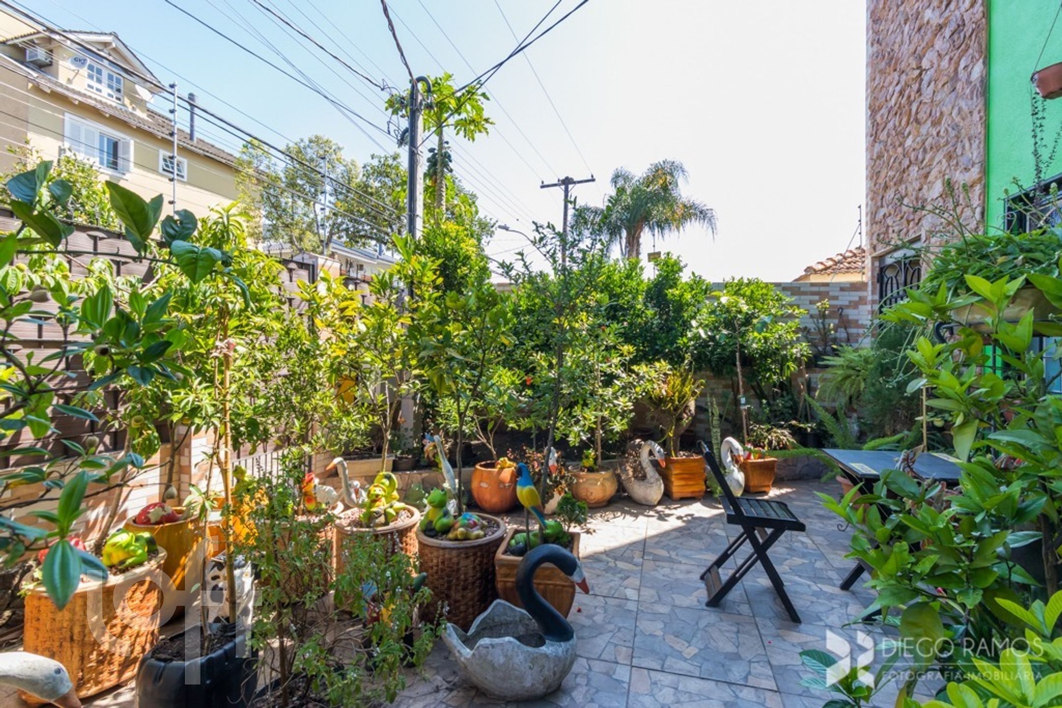 Imagem da propriedade 37