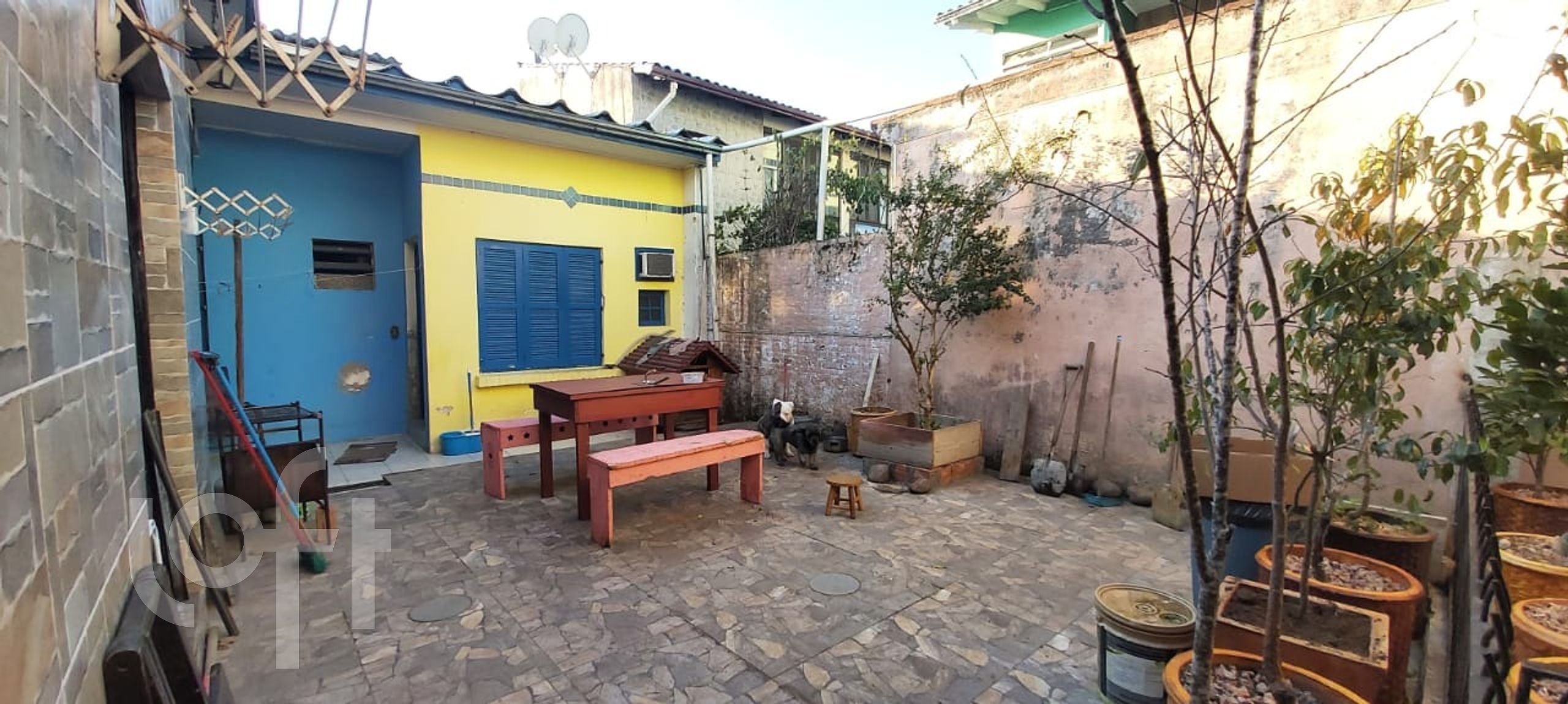 Imagem da propriedade 39