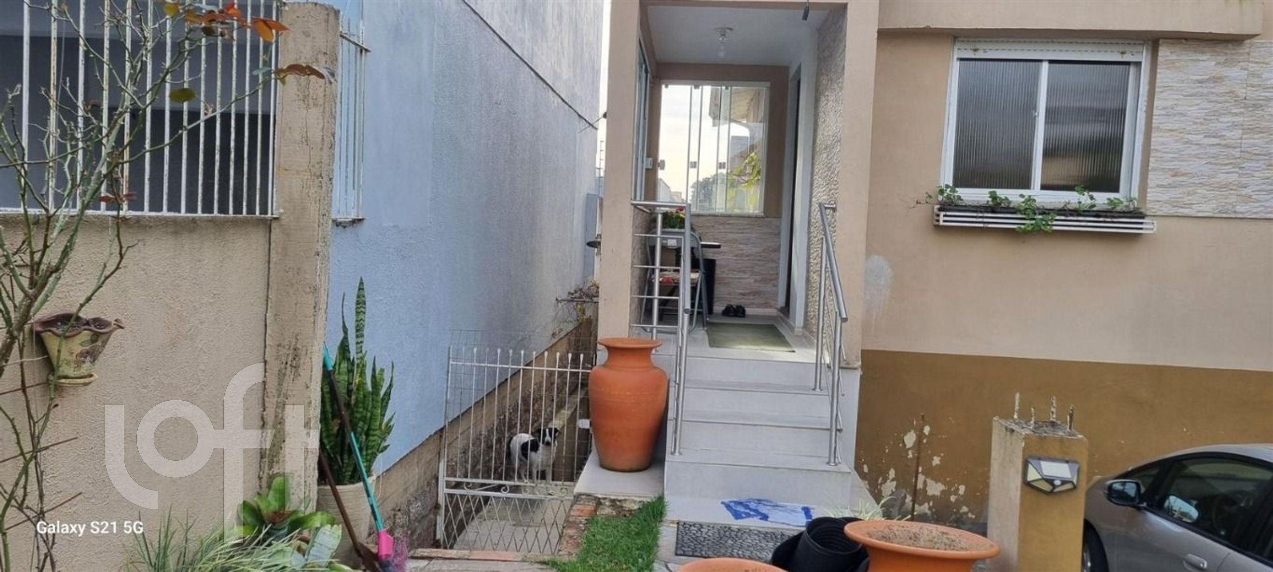 Imagem da propriedade 4