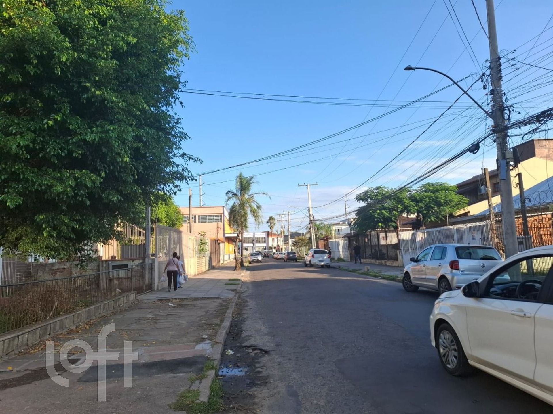 Imagem da propriedade 6