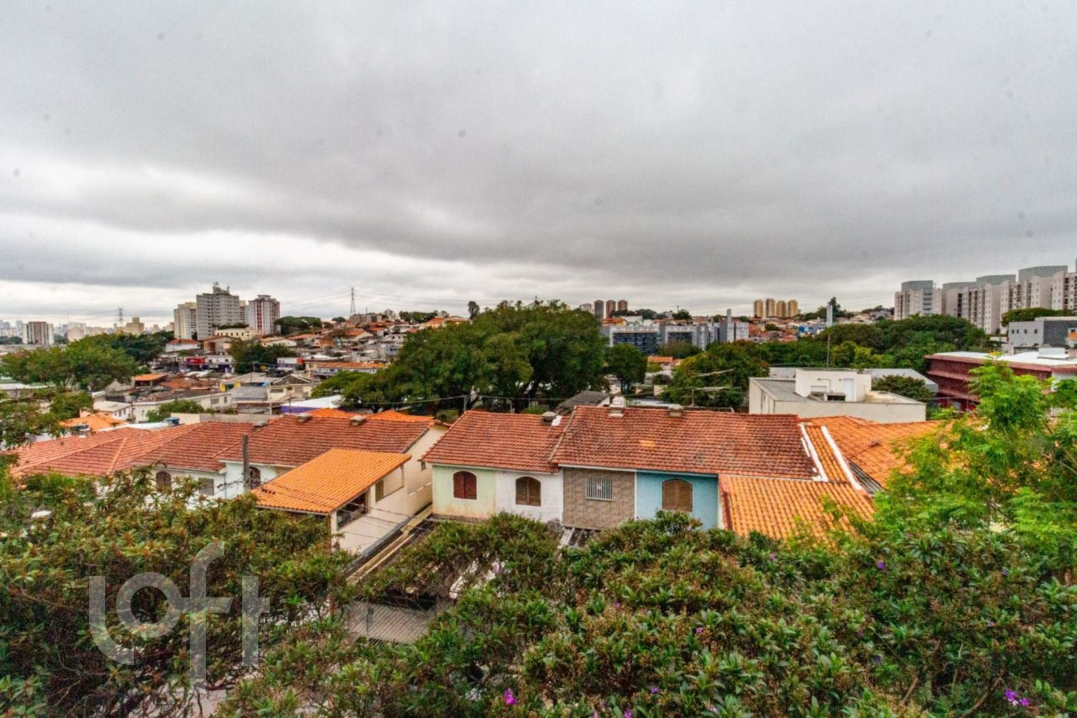 Imagem da propriedade 16