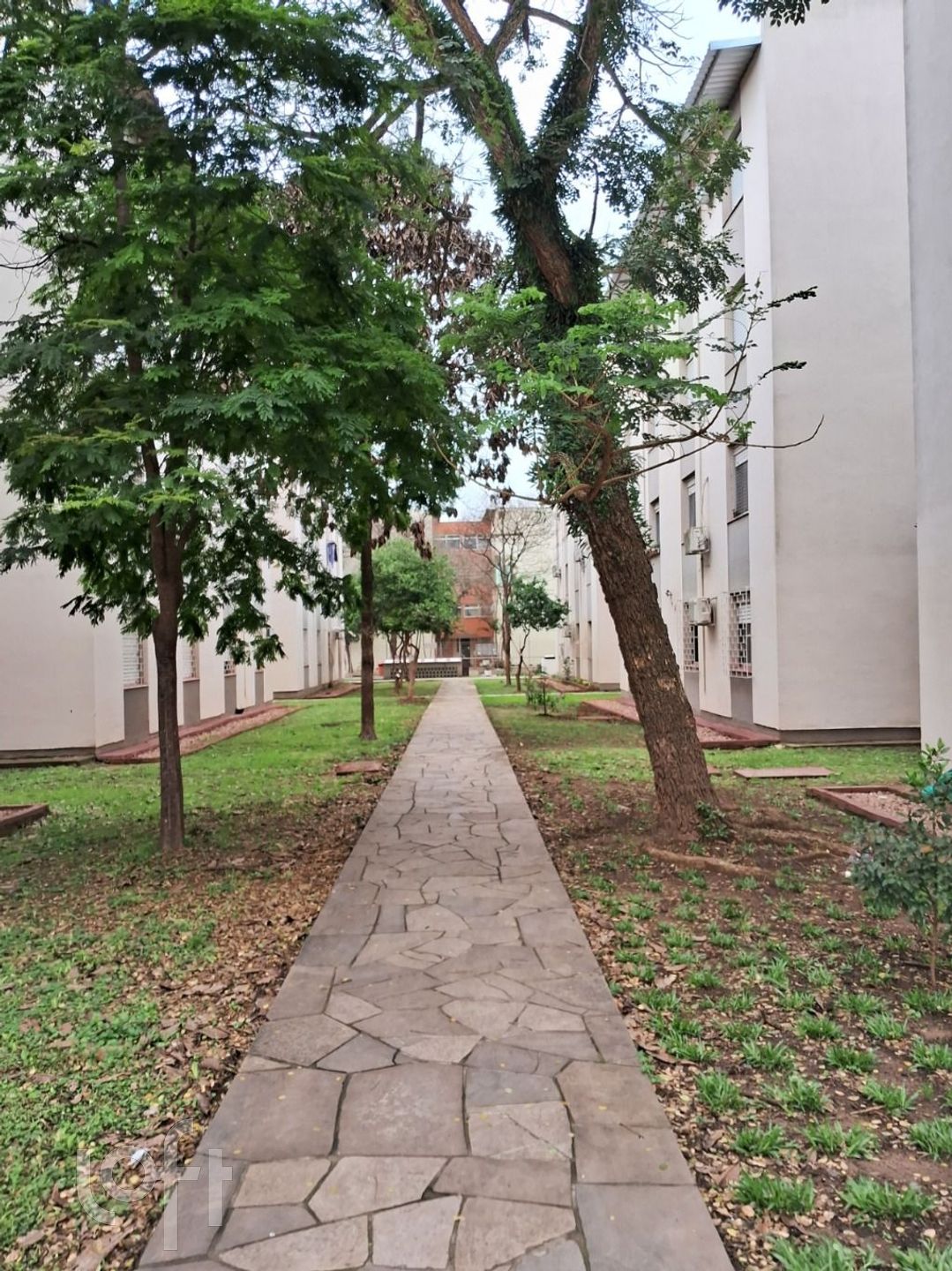 Imagem da propriedade 16