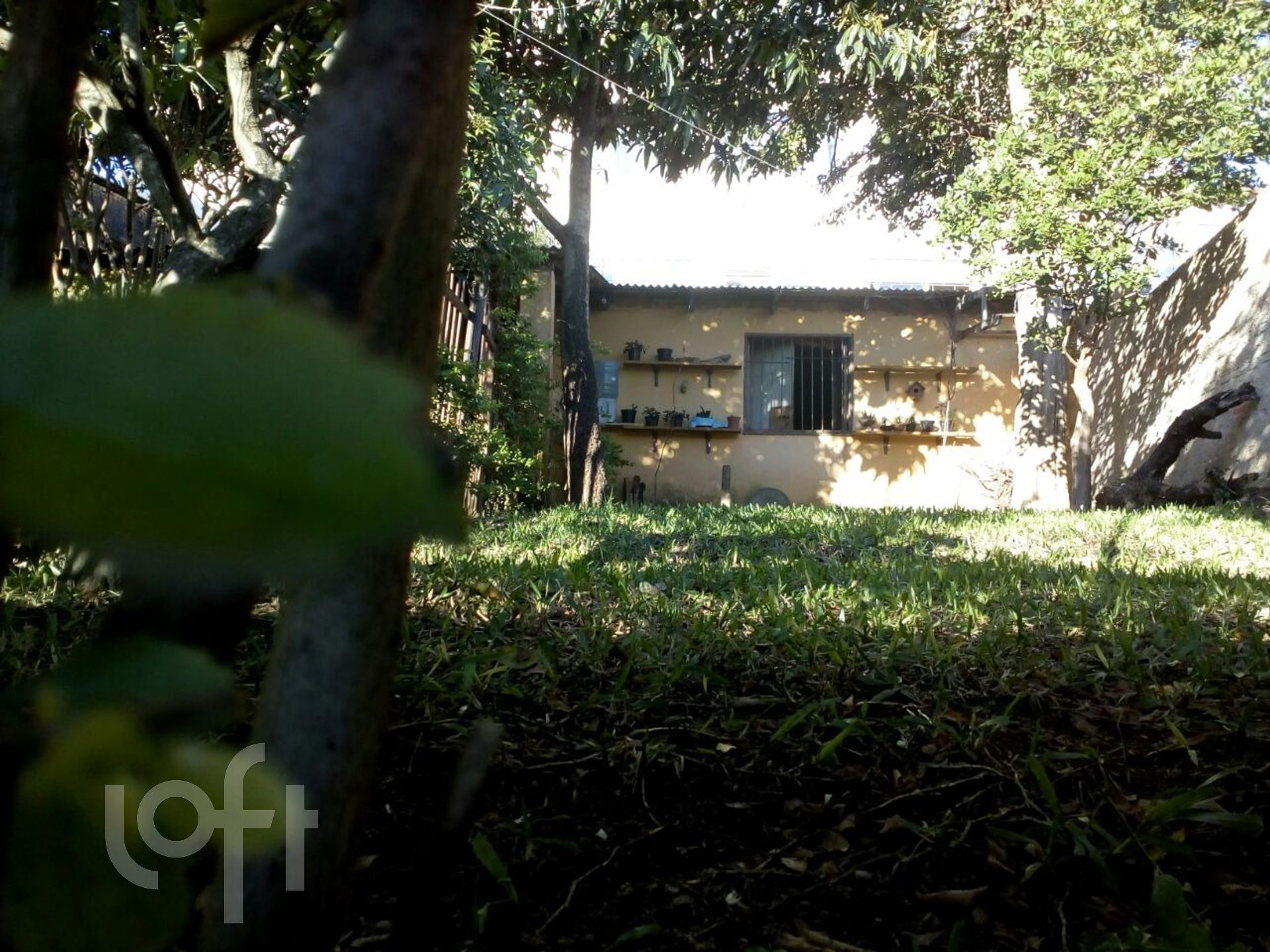 Imagem da propriedade 15