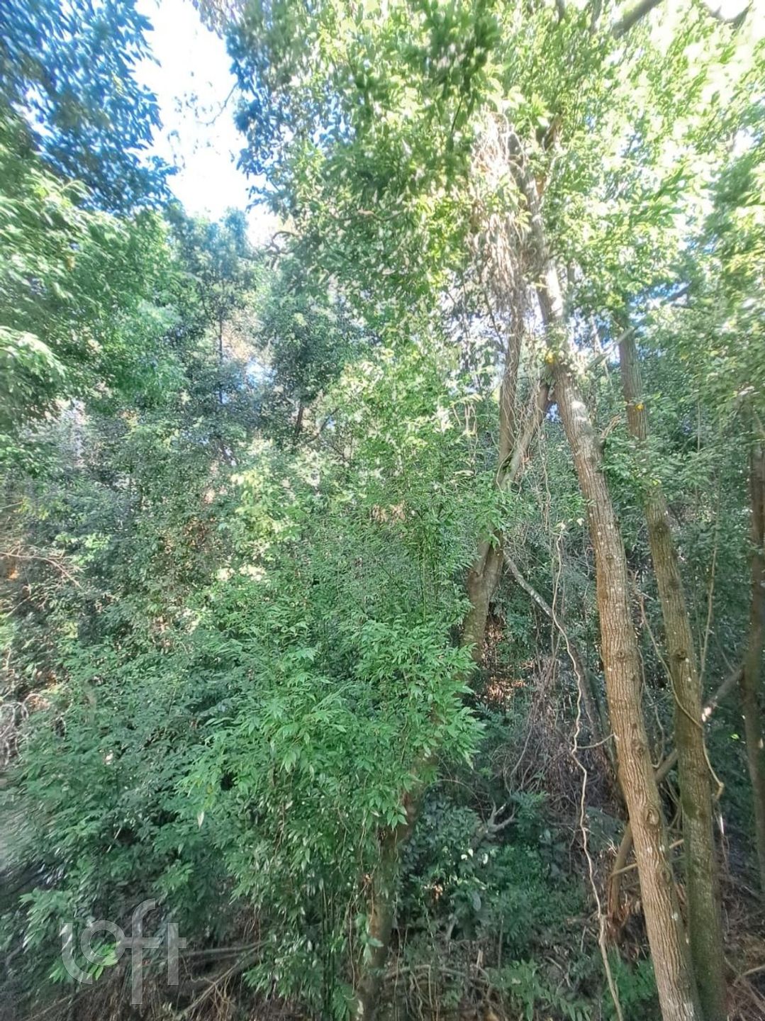 Imagem da propriedade 13