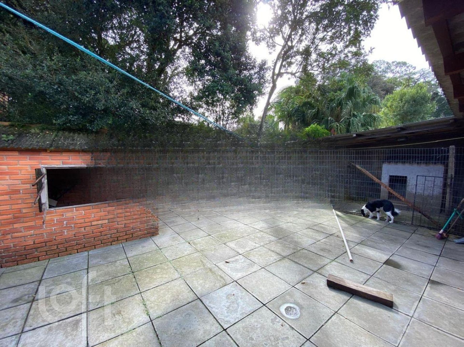 Imagem da propriedade 9