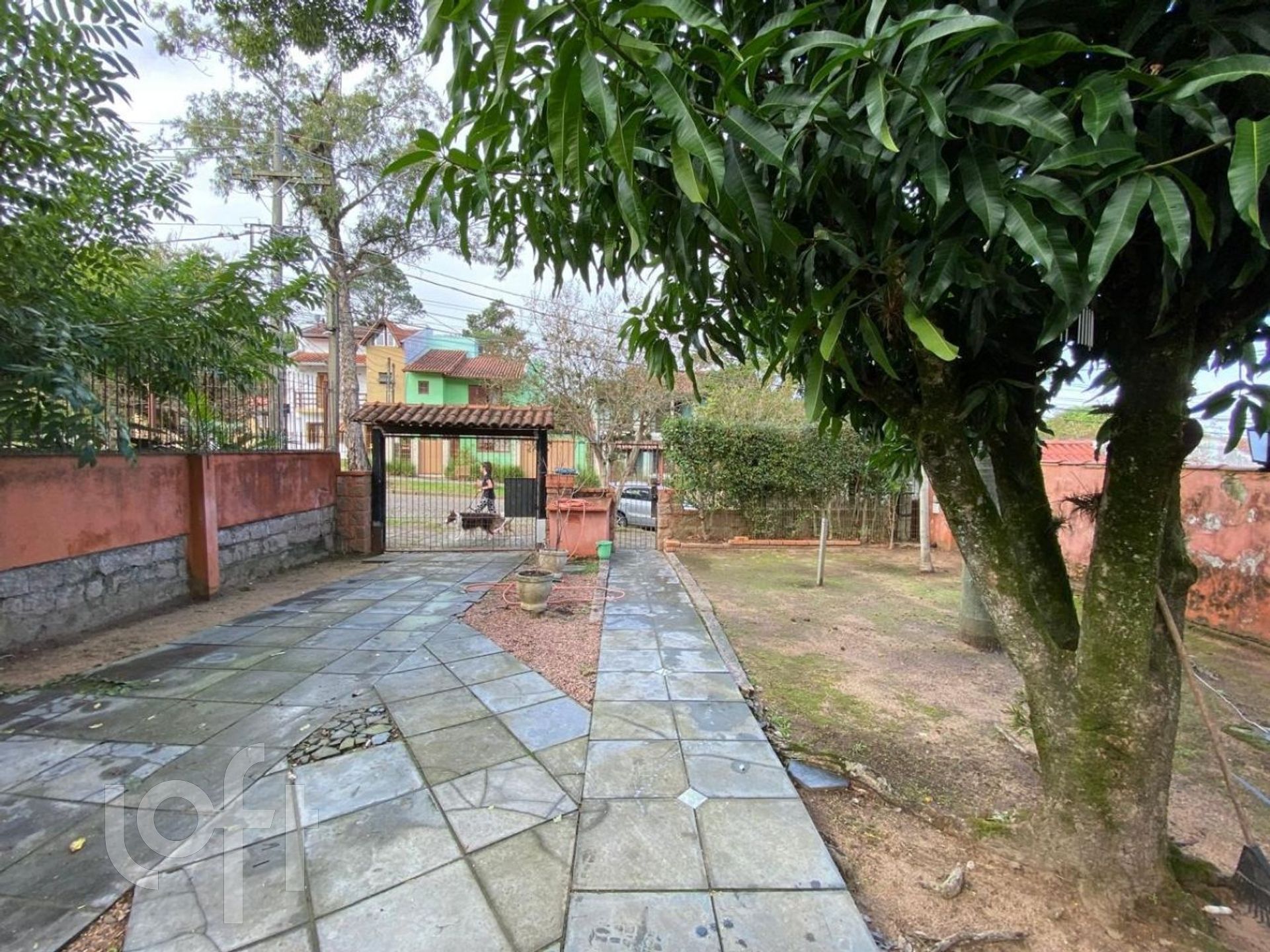 Imagem da propriedade 3