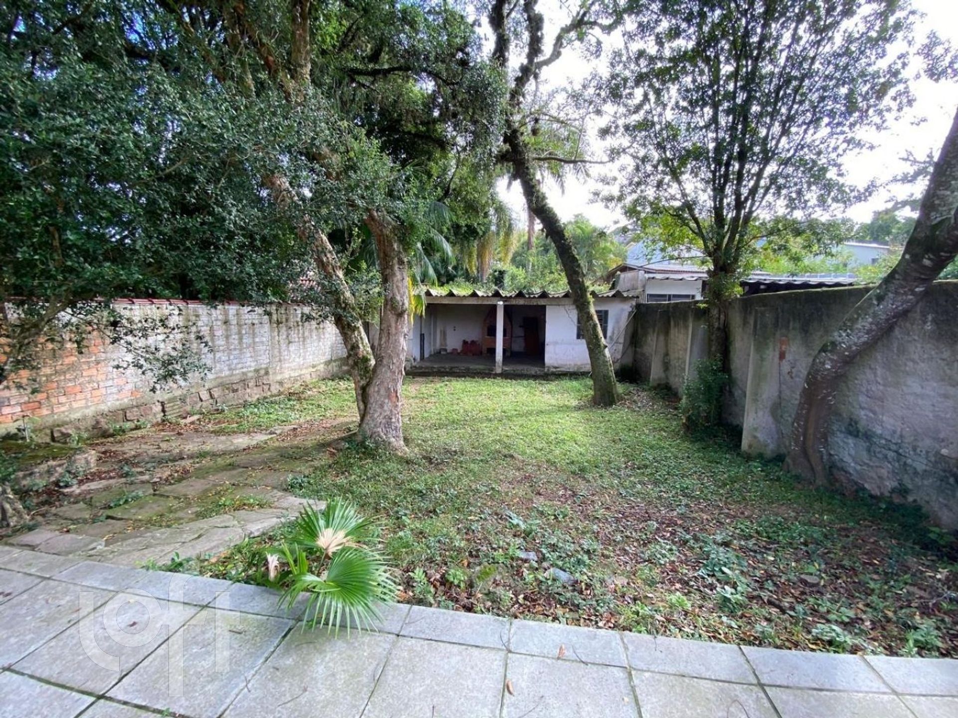 Imagem da propriedade 11