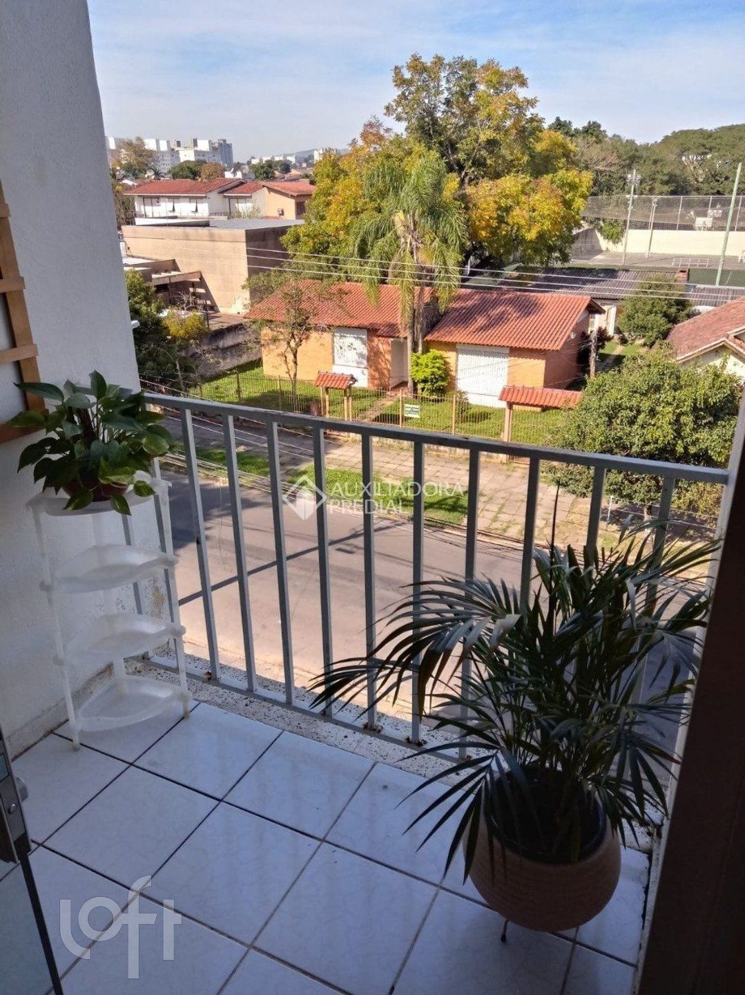 Imagem da propriedade 6