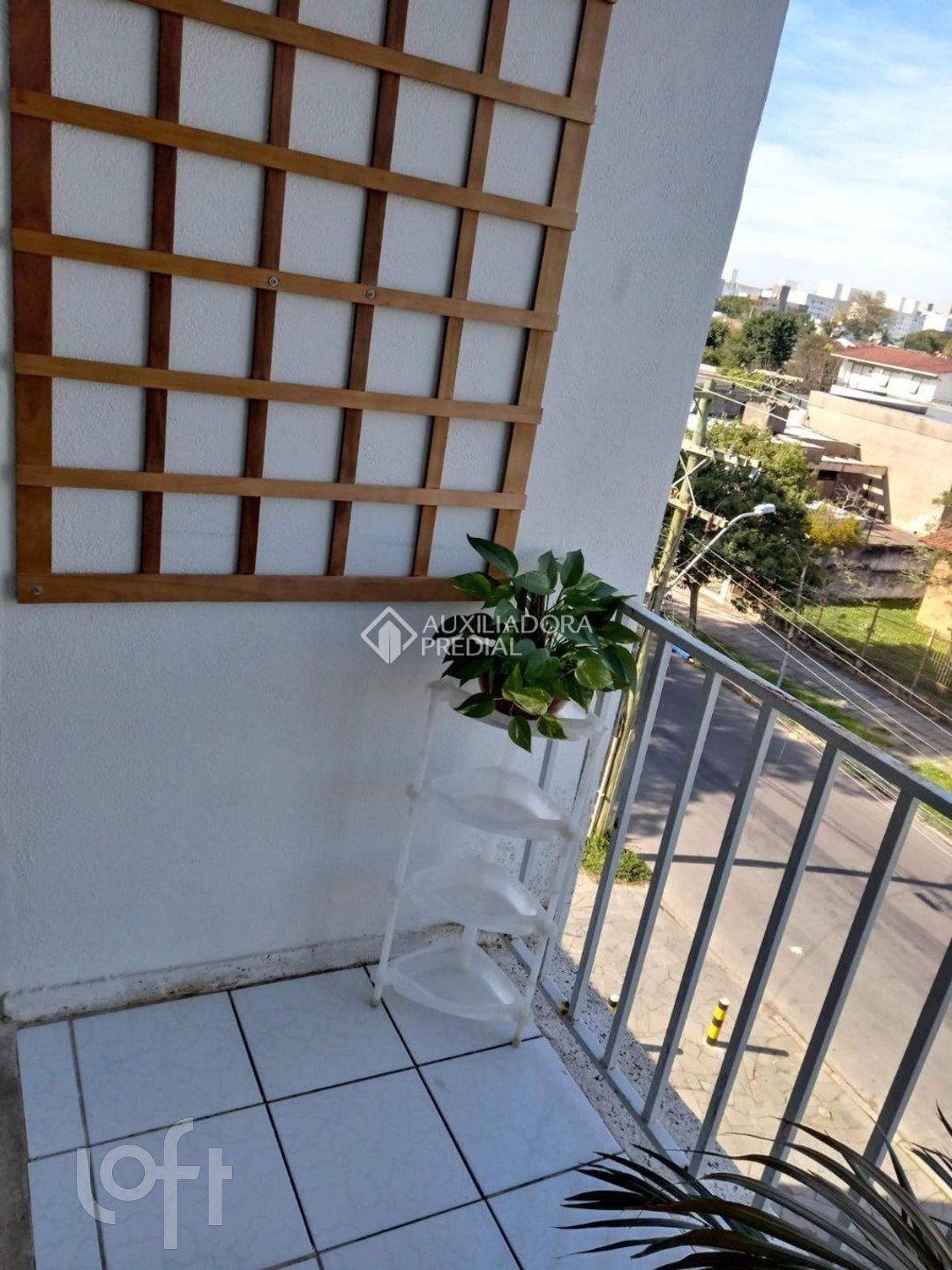 Imagem da propriedade 7