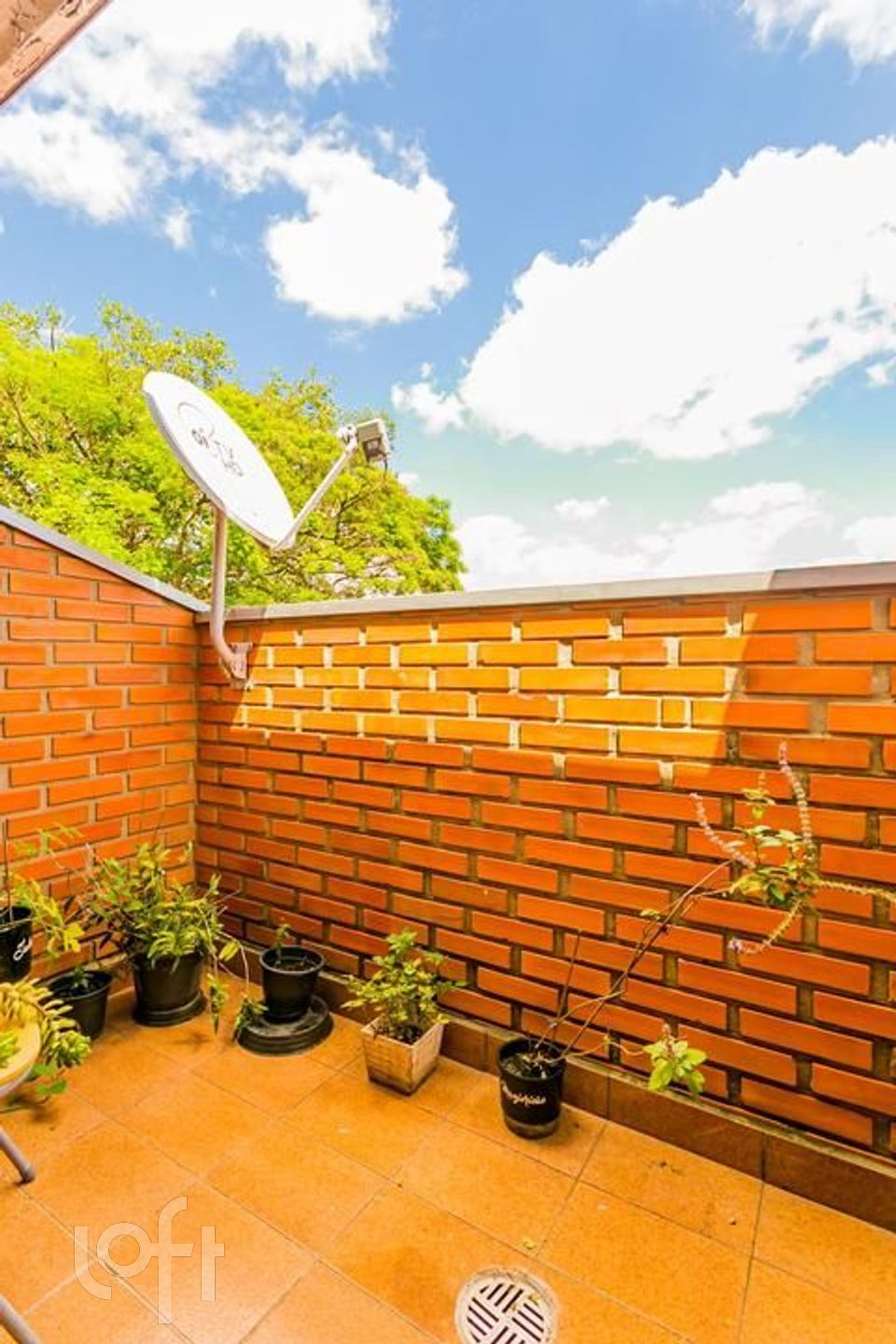 Imagem da propriedade 13