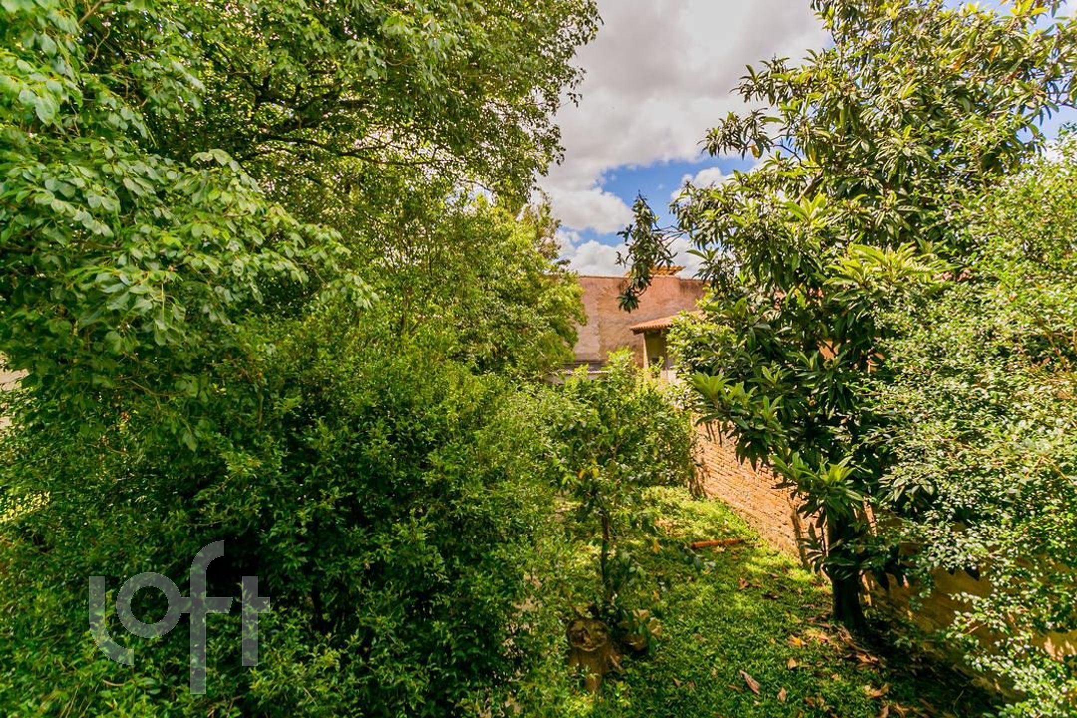 Imagem da propriedade 21