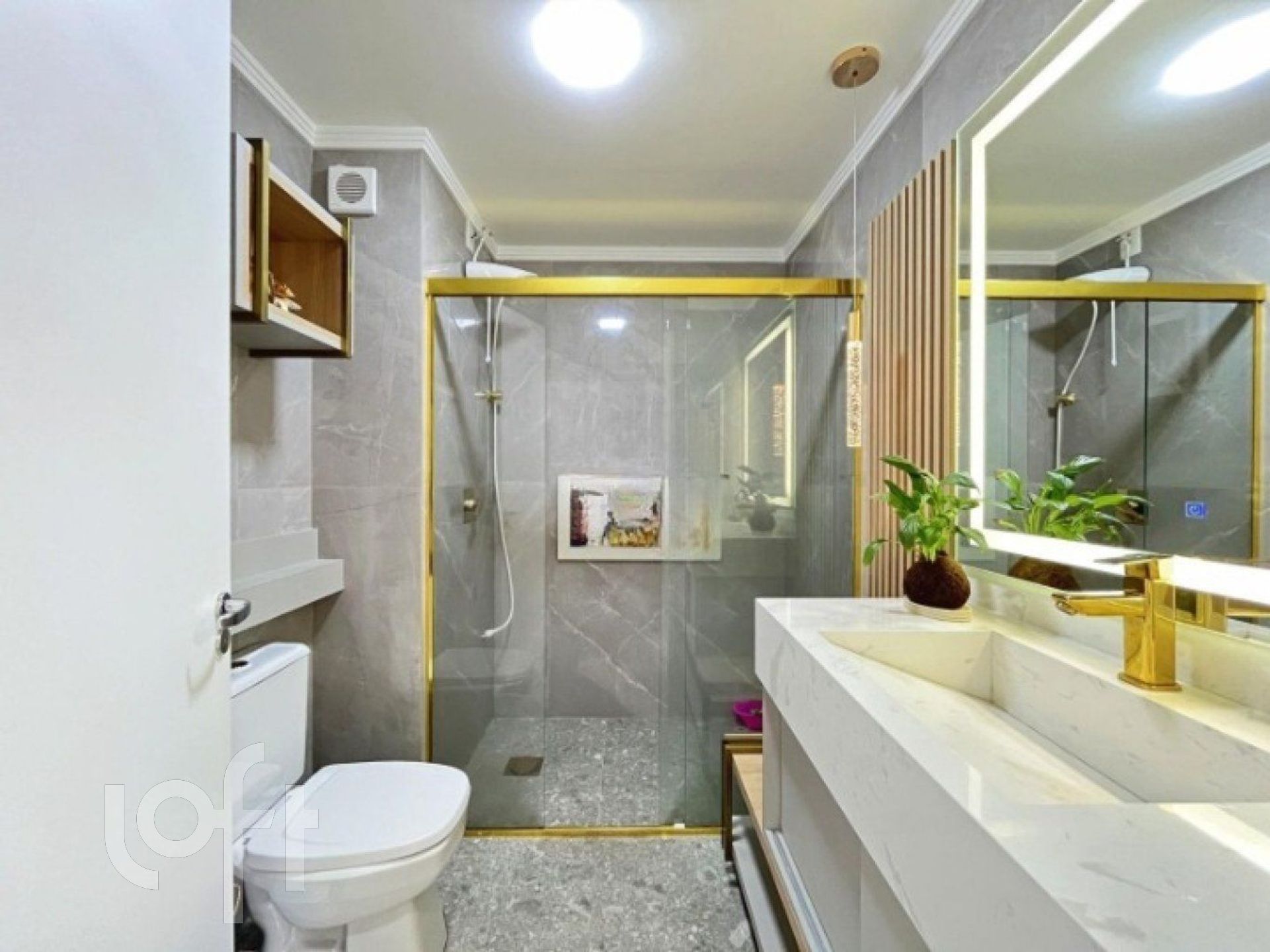 Imagem da propriedade 36