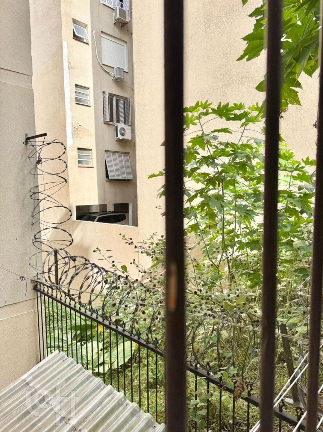 Imagem da propriedade 21