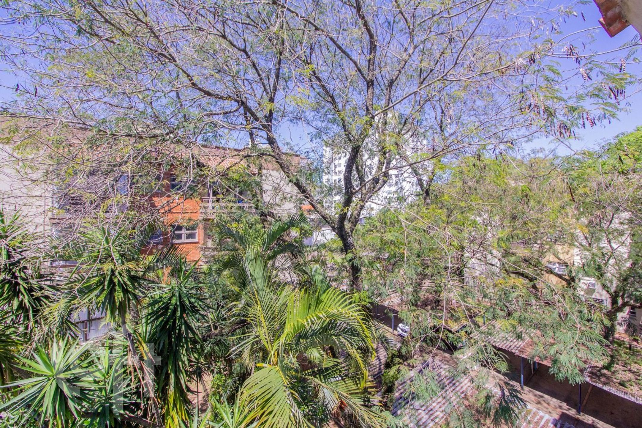 Imagem da propriedade 9