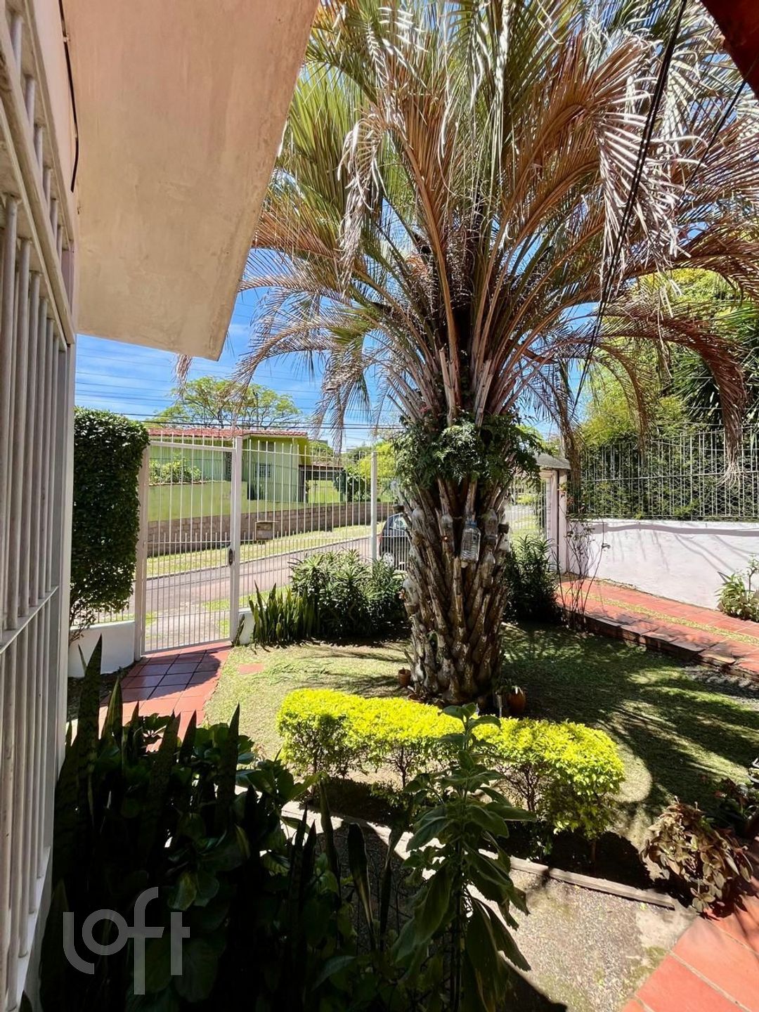 Imagem da propriedade 8