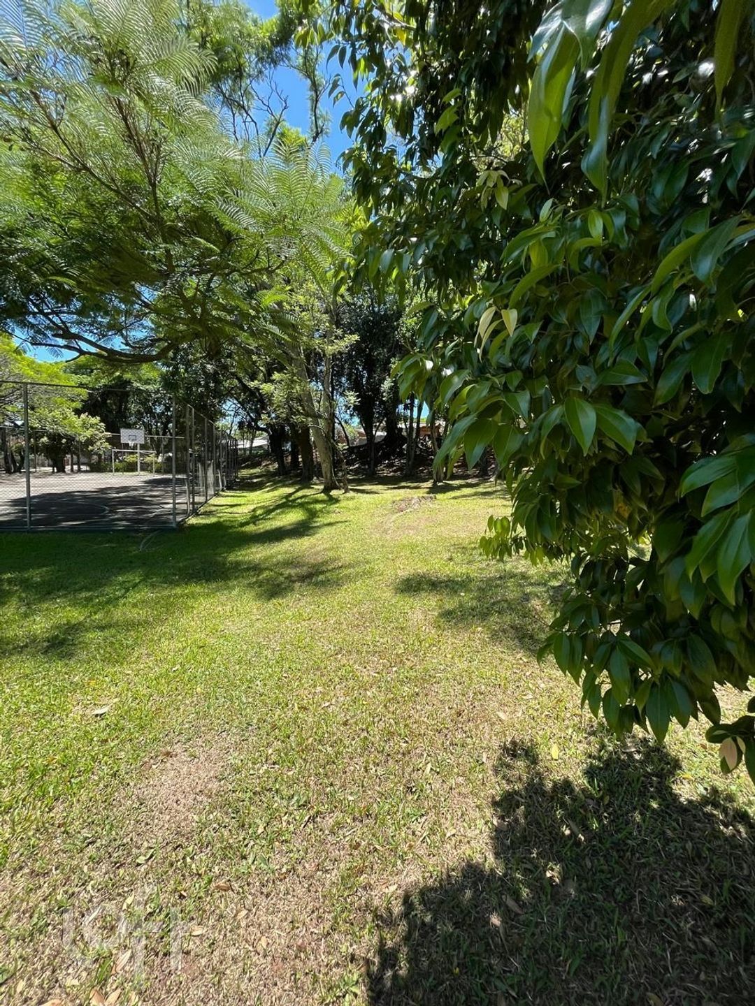 Imagem da propriedade 10