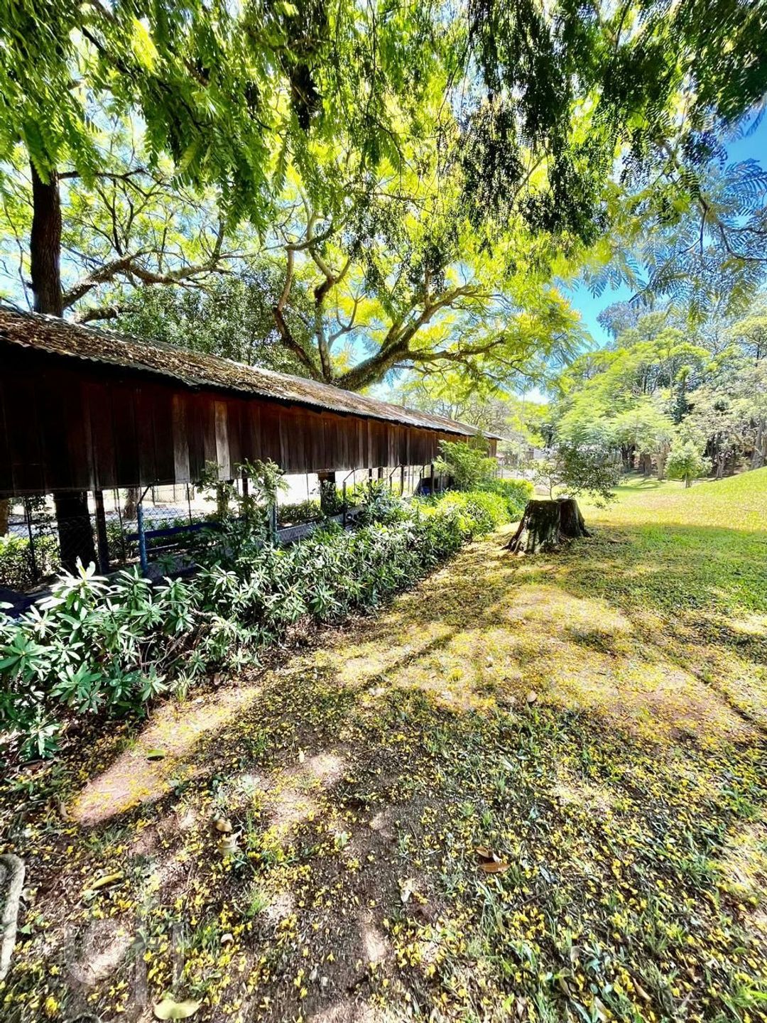 Imagem da propriedade 12