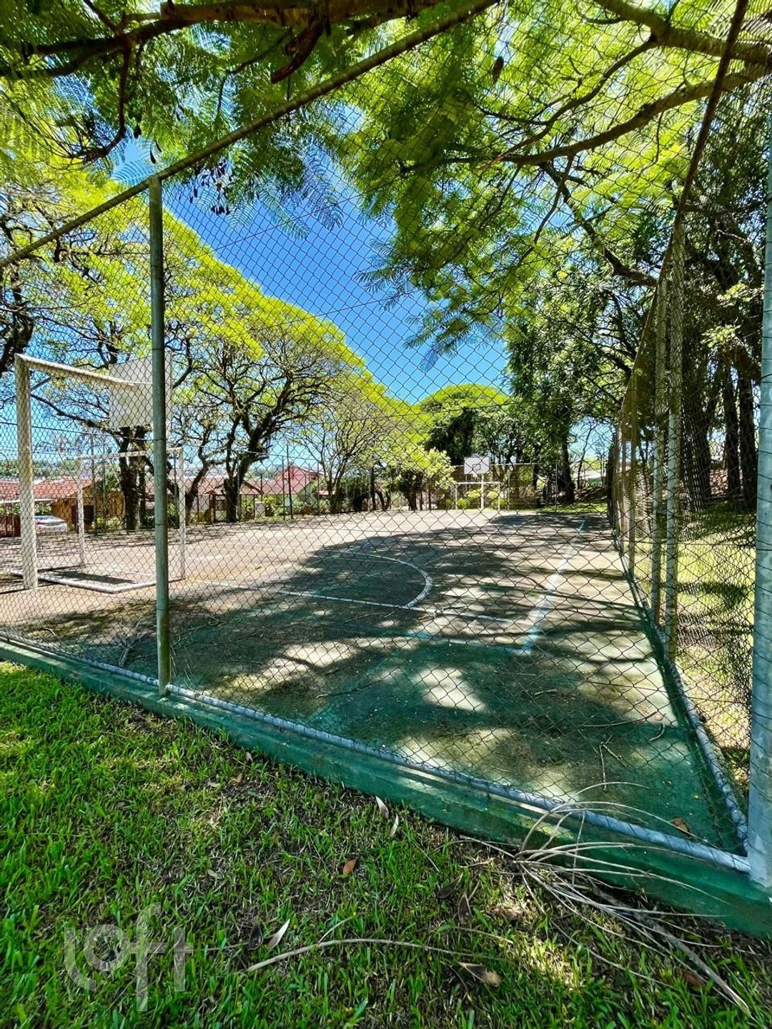 Imagem da propriedade 13