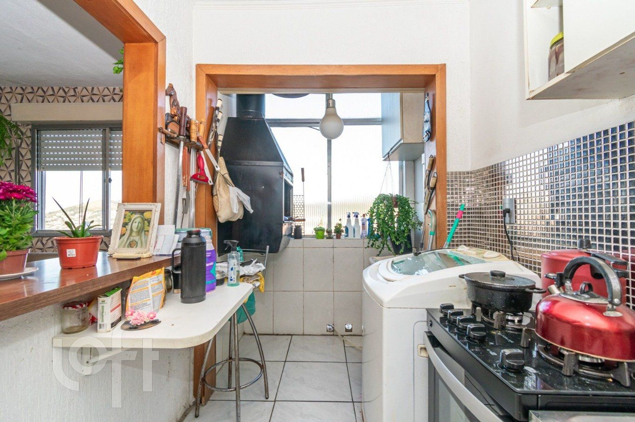 Imagem da propriedade 6