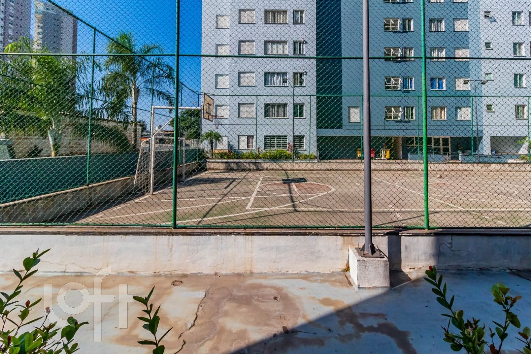 Imagem da propriedade 20