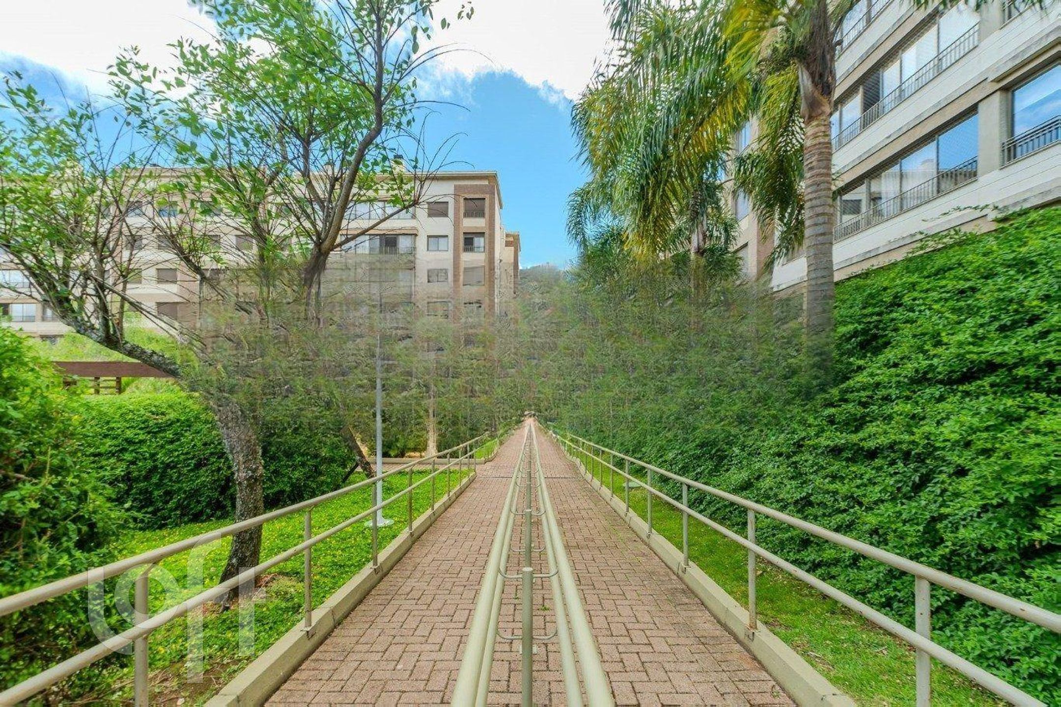 Imagem da propriedade 50