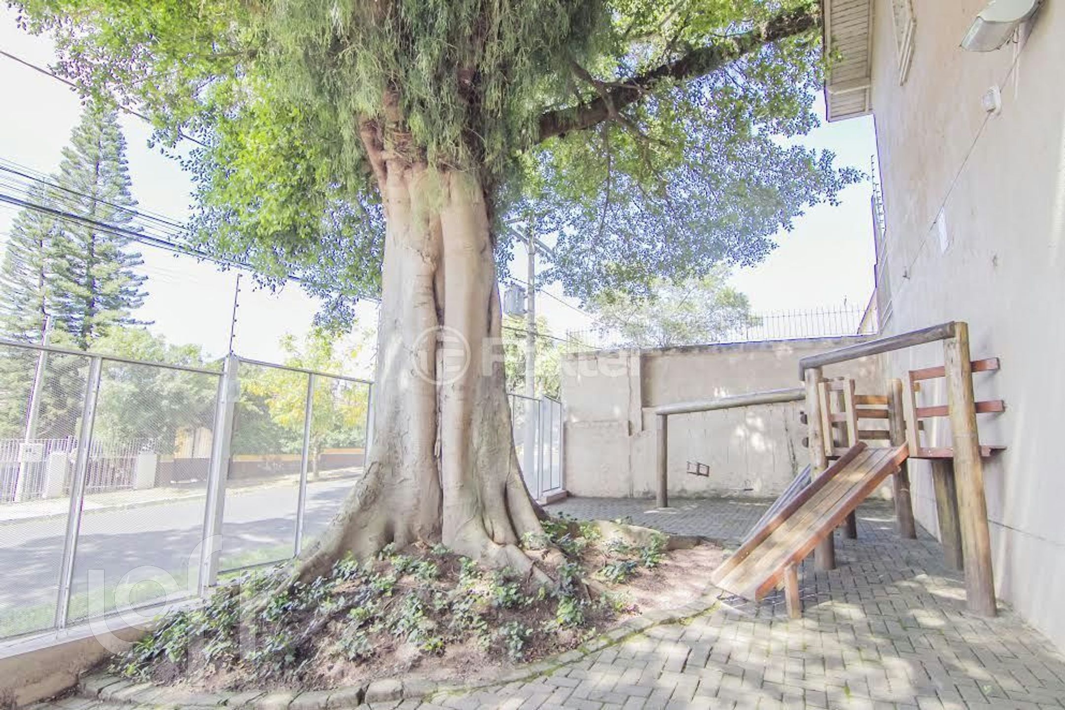 Imagem da propriedade 2