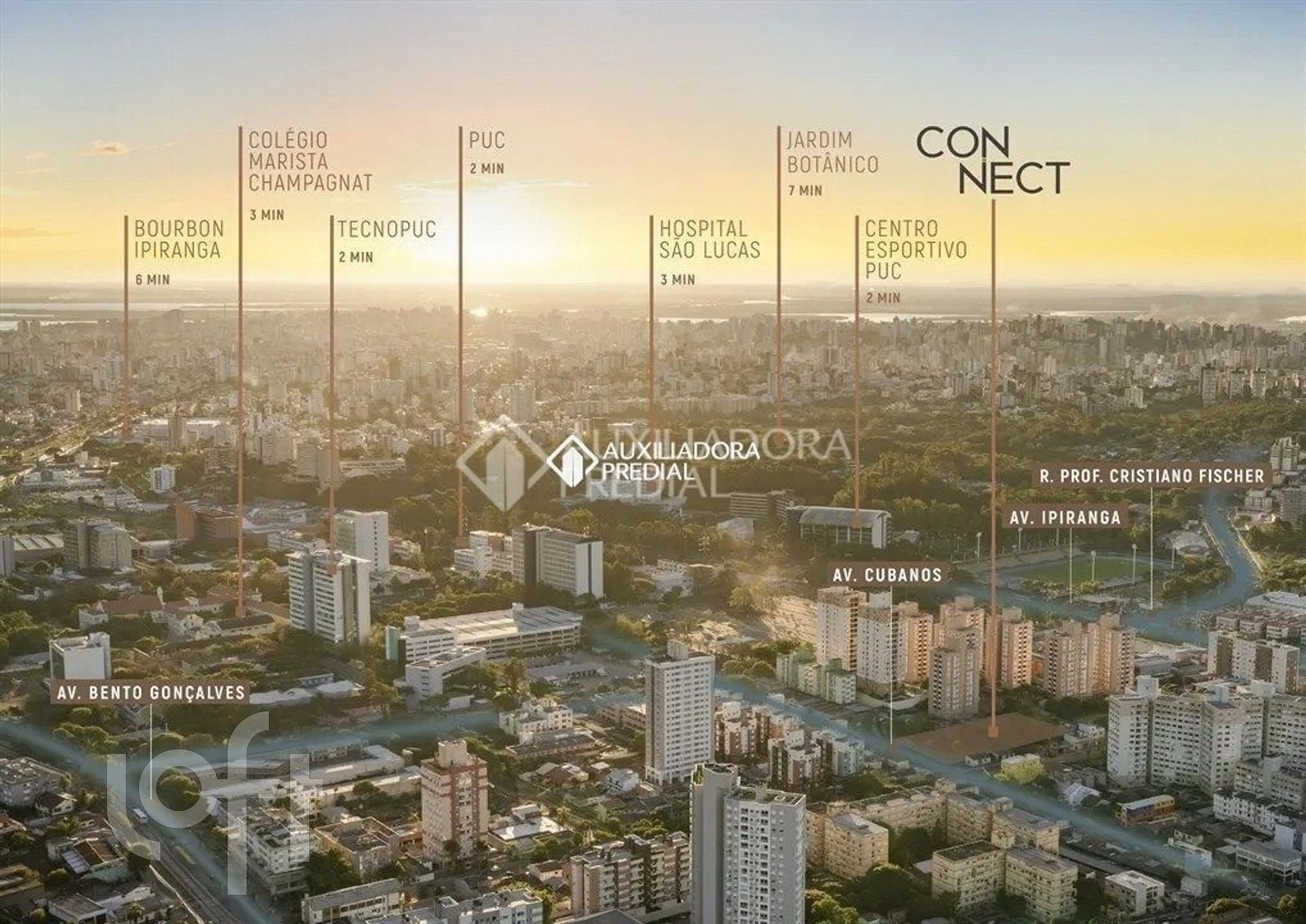 Imagem da propriedade 18