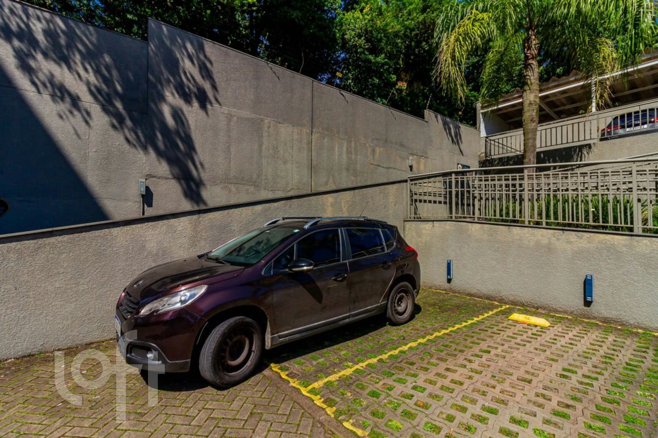 Imagem da propriedade 30