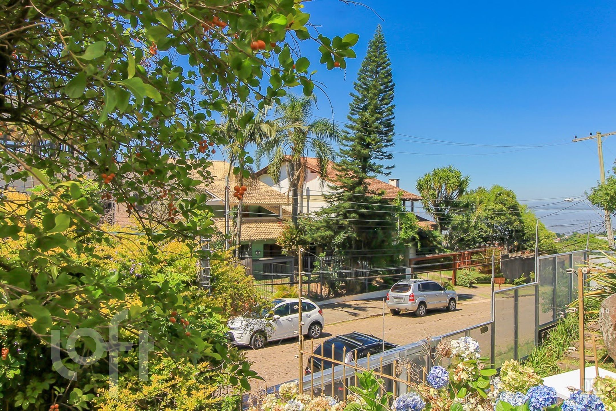 Imagem da propriedade 76