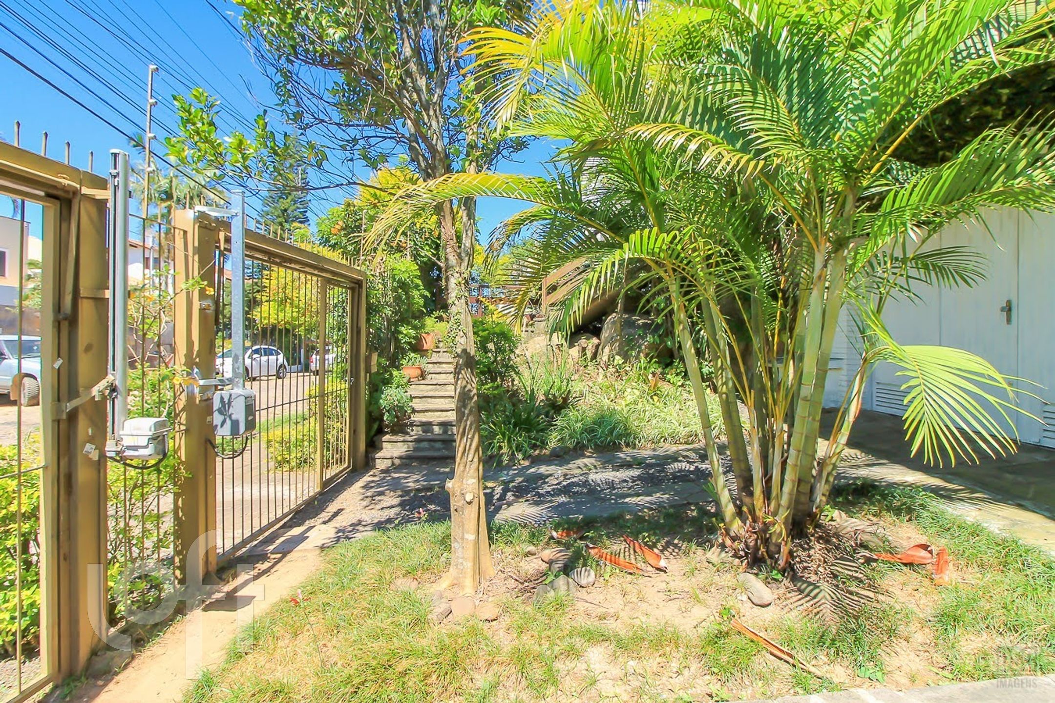 Imagem da propriedade 74