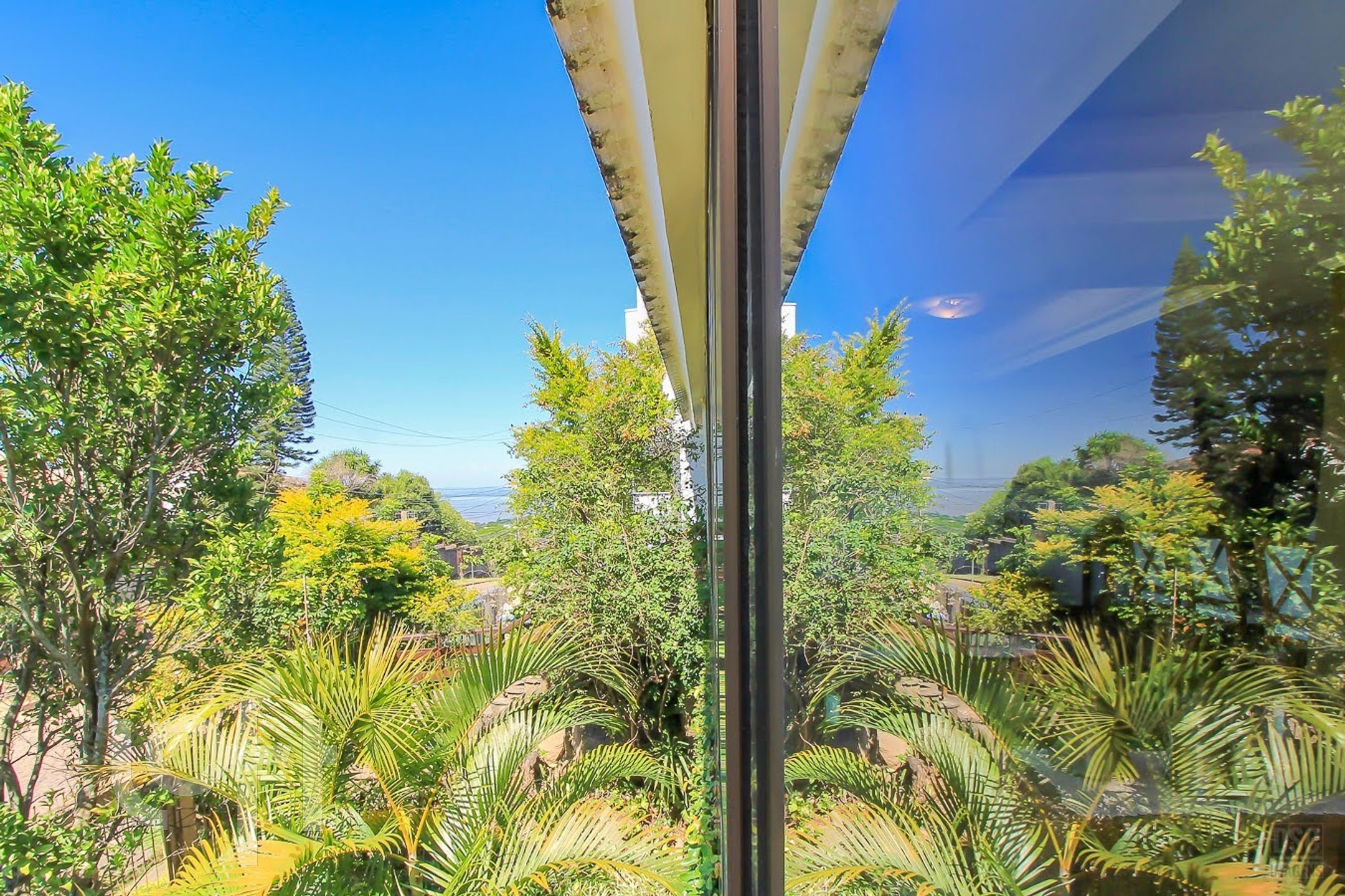 Imagem da propriedade 13