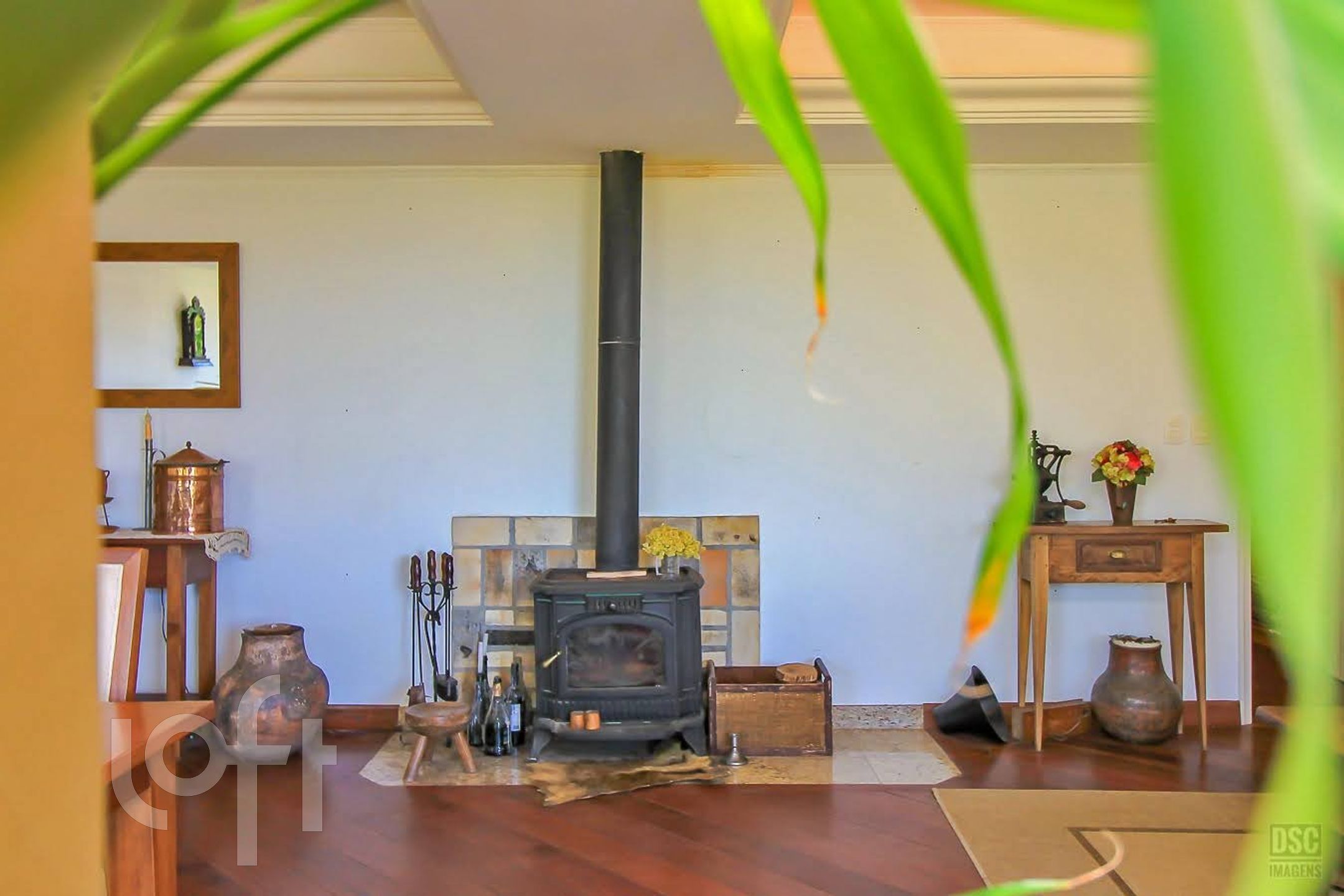 Imagem da propriedade 8