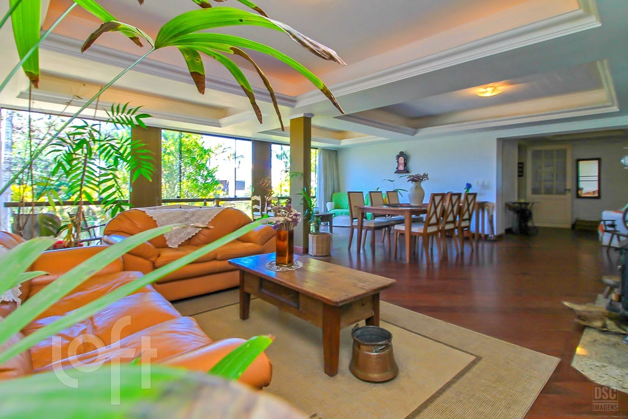 Imagem da propriedade 5