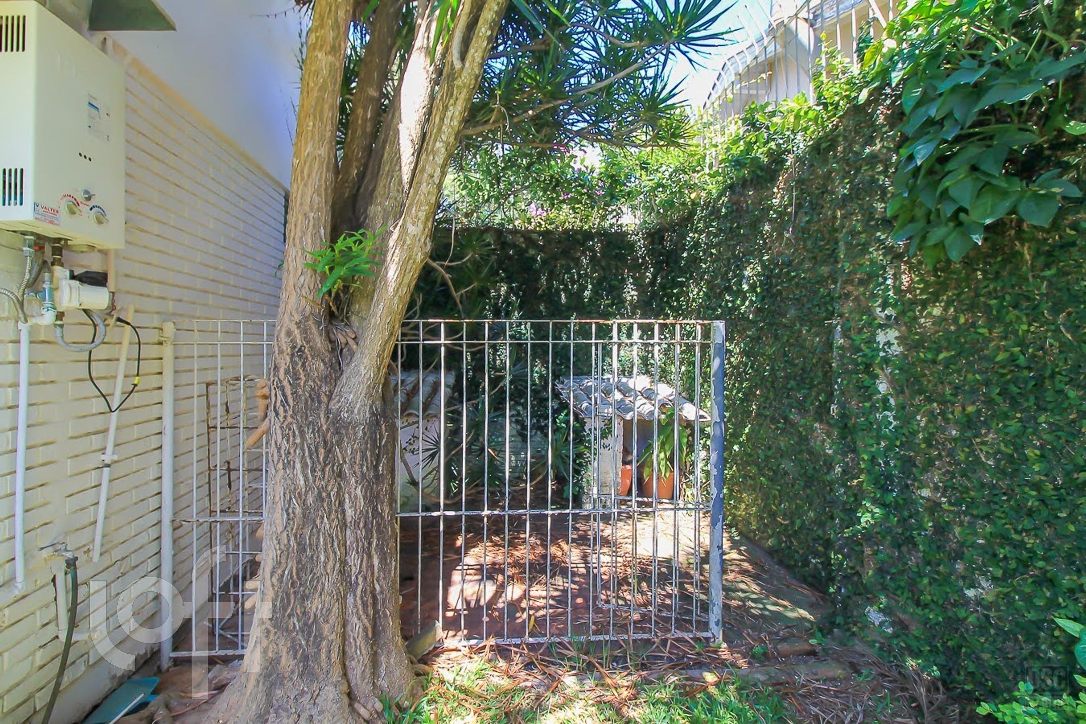 Imagem da propriedade 56