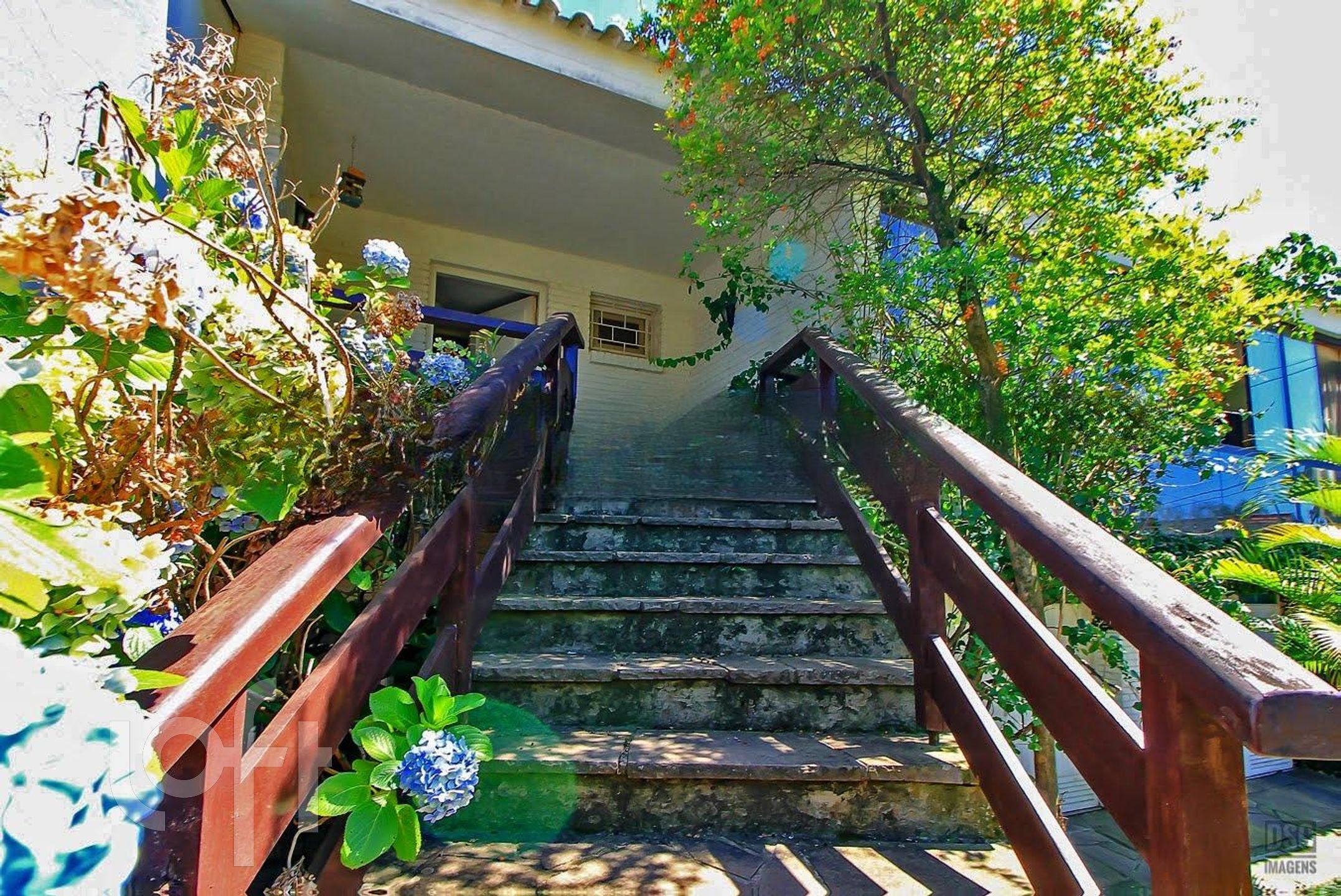 Imagem da propriedade 71