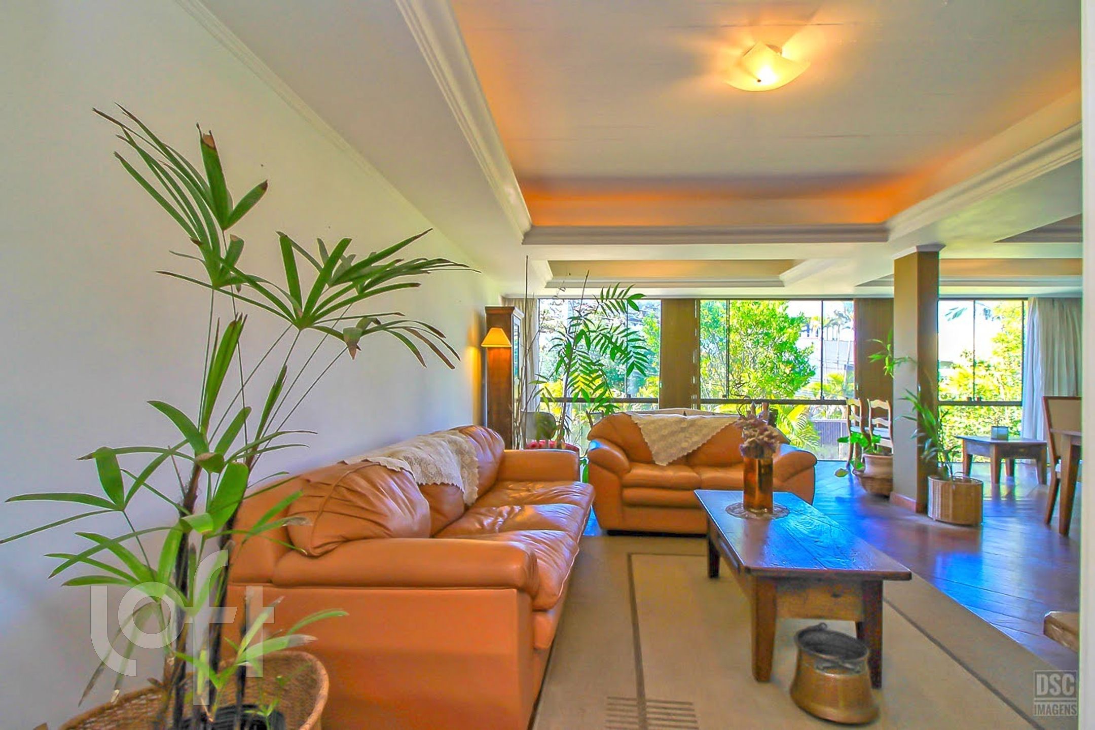 Imagem da propriedade 4