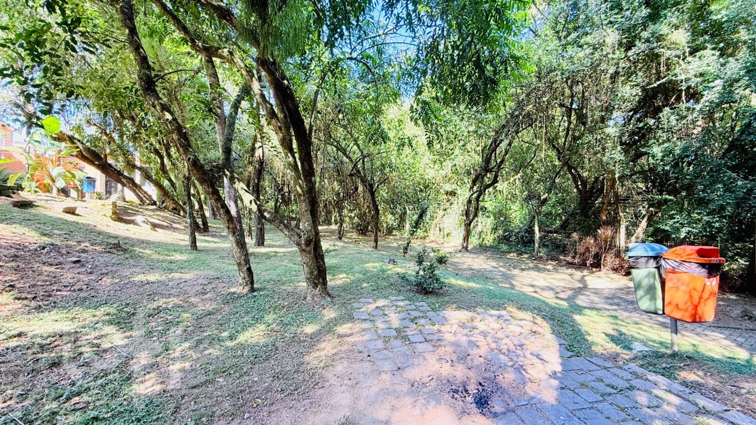 Imagem da propriedade 29